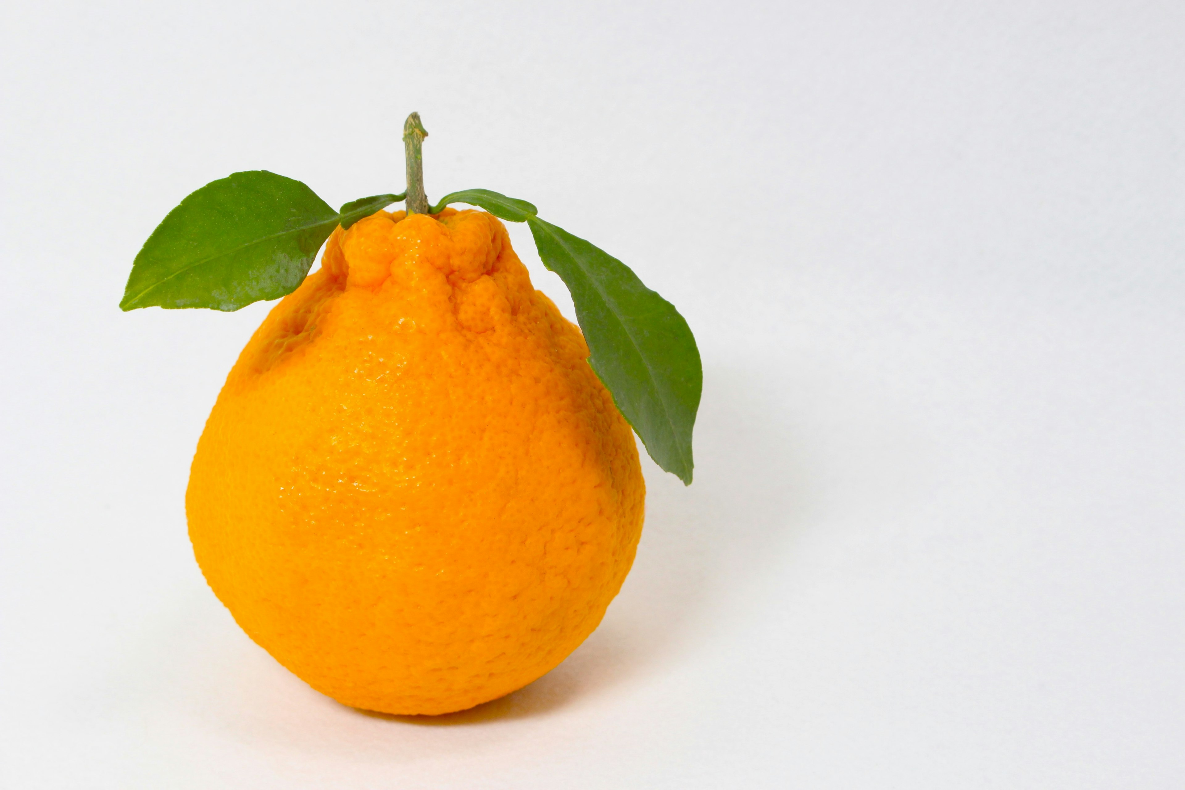 vibrant orange fruit with green leaves attached