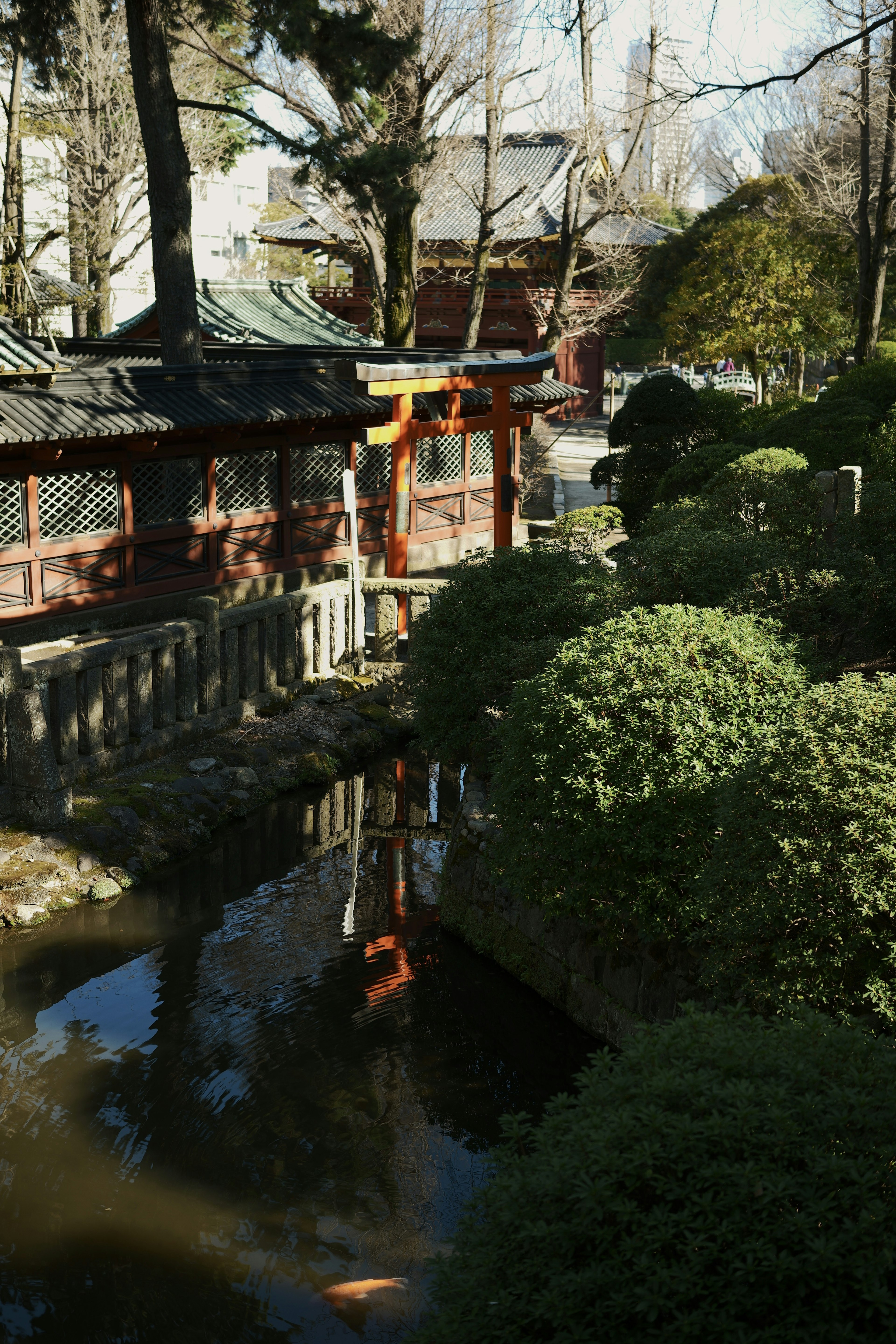 Scenic Japanese garden with trees reflecting in the pond lush greenery traditional buildings and bridge