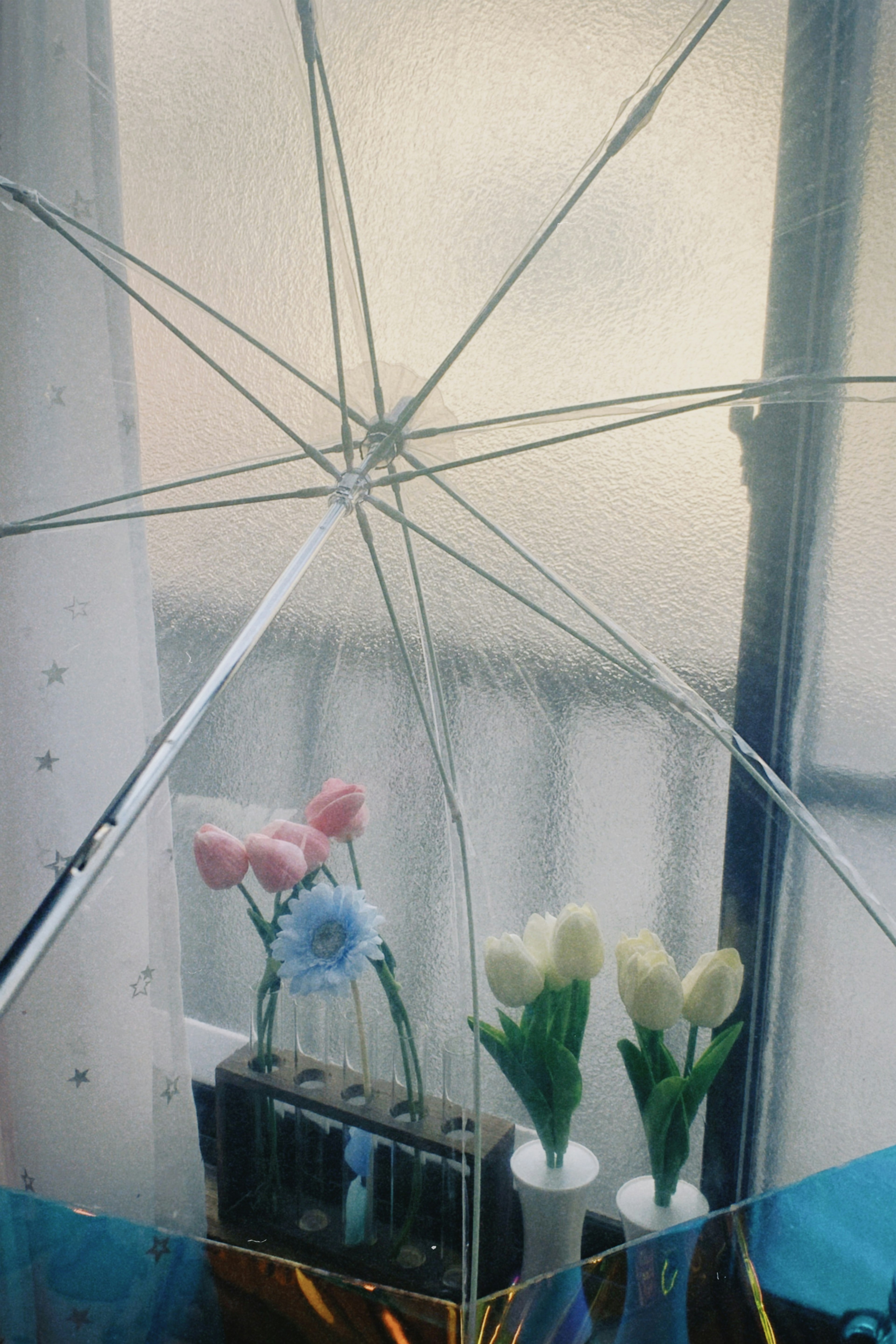 Blick auf ein Blumenarrangement und ein Fenster durch einen transparenten Regenschirm