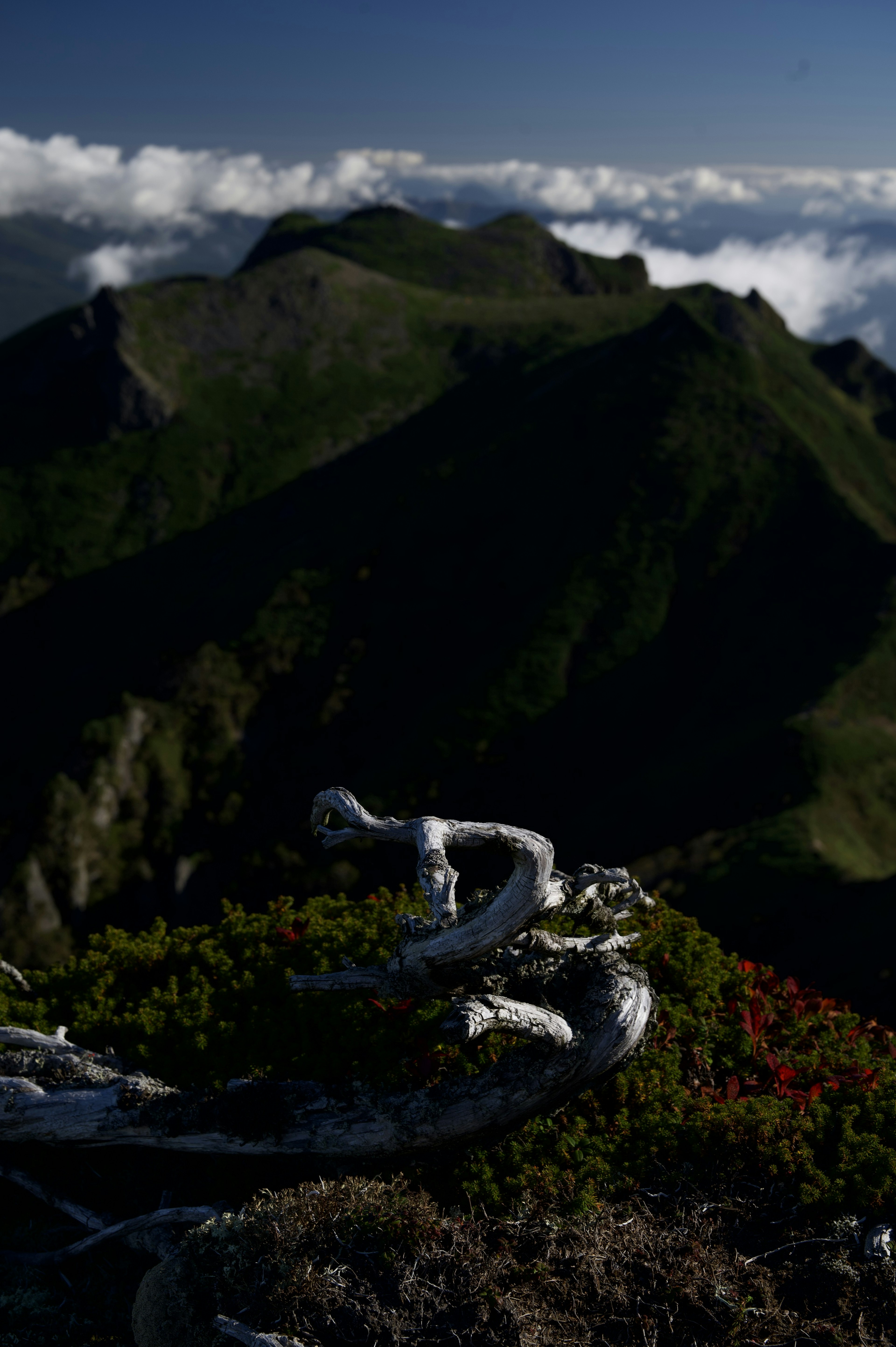 山の頂上からの景色と雲に覆われた山々の背景