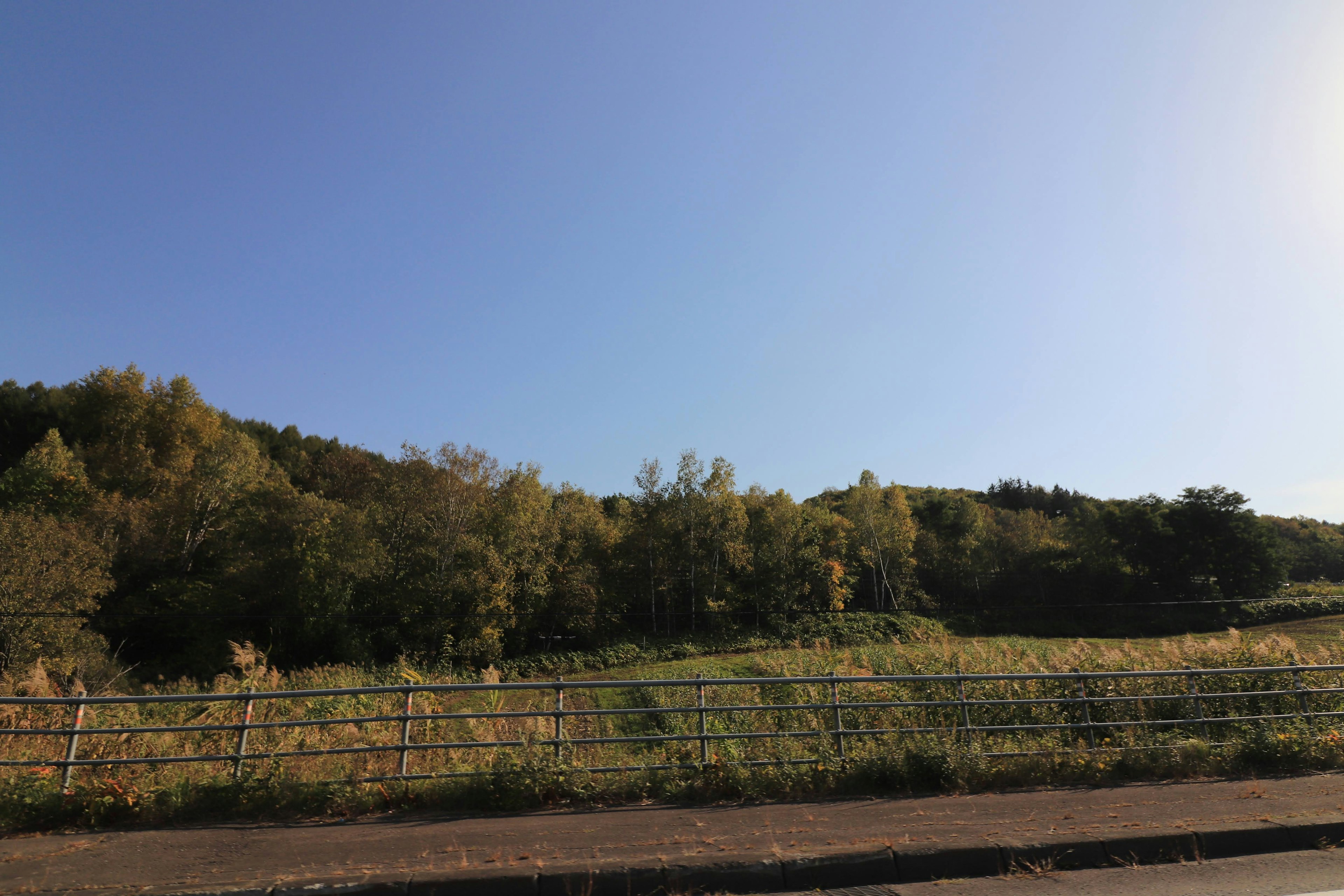 Landscape of green hills and grassland under a clear blue sky