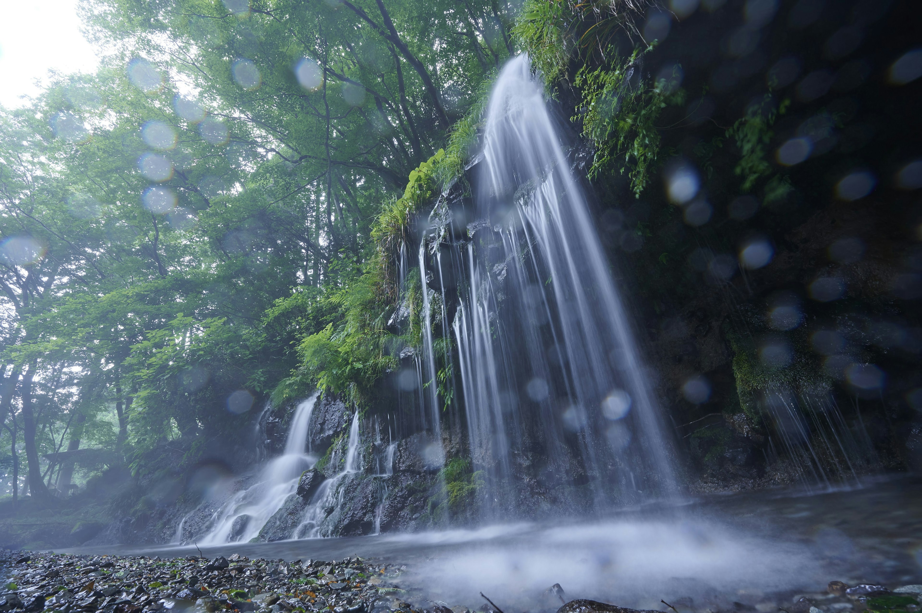 緑に囲まれた美しい滝の写真 水しぶきが飛び散り 霧のような効果がある