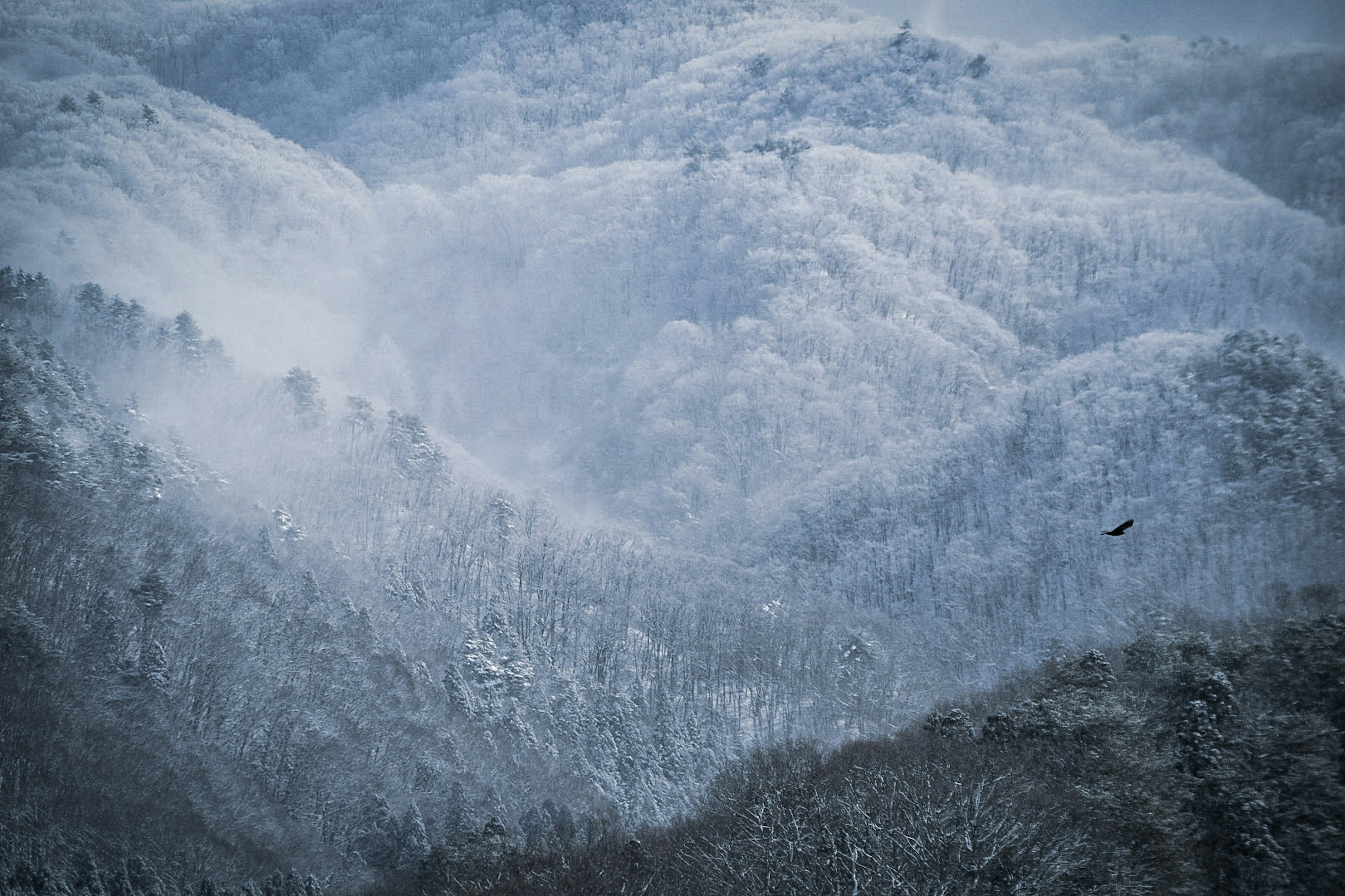 Snow-covered mountain landscape with mist