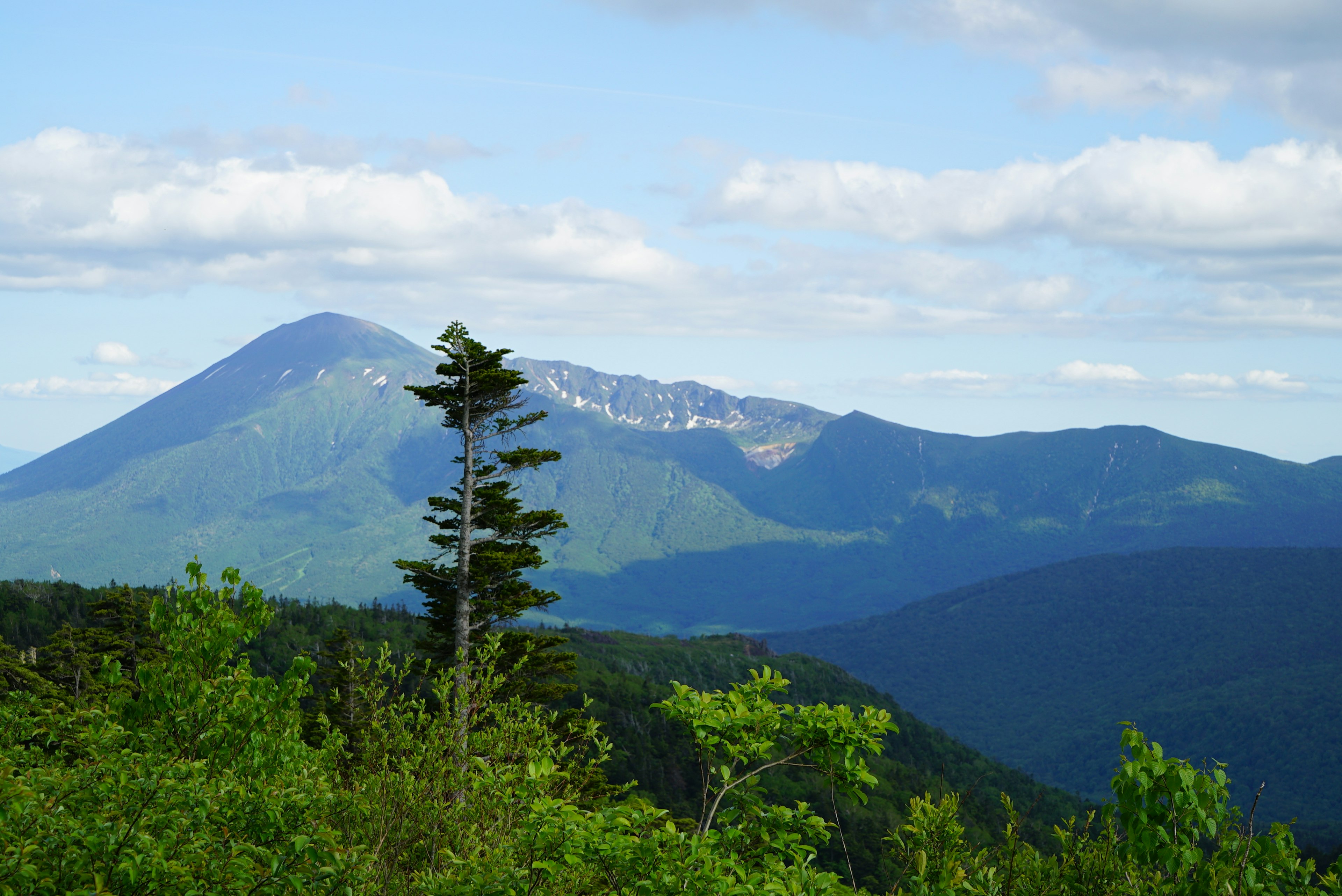 蓝天下的山脉风景，前景有绿色树木