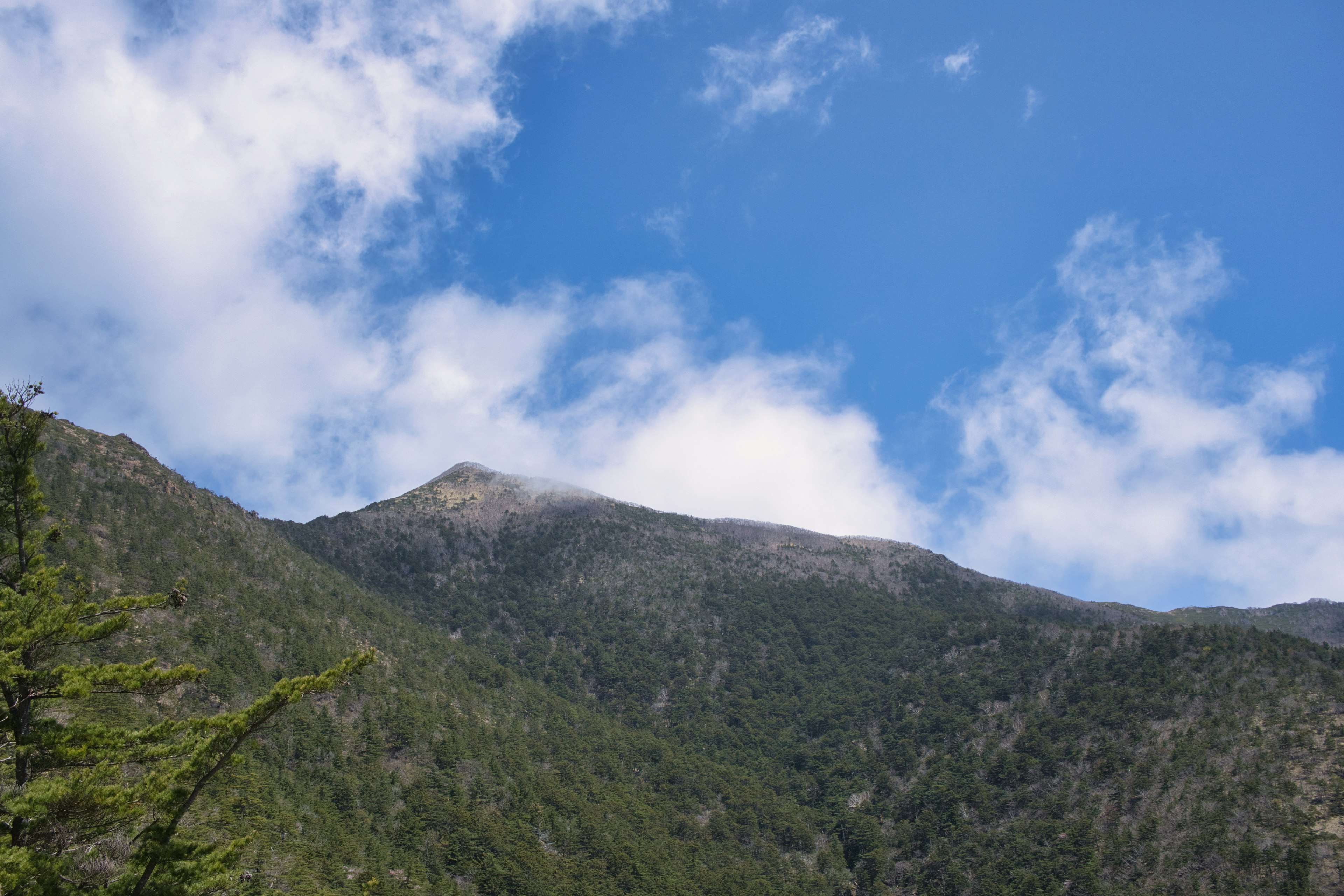 Üppige grüne Berglandschaft unter einem blauen Himmel mit Wolken