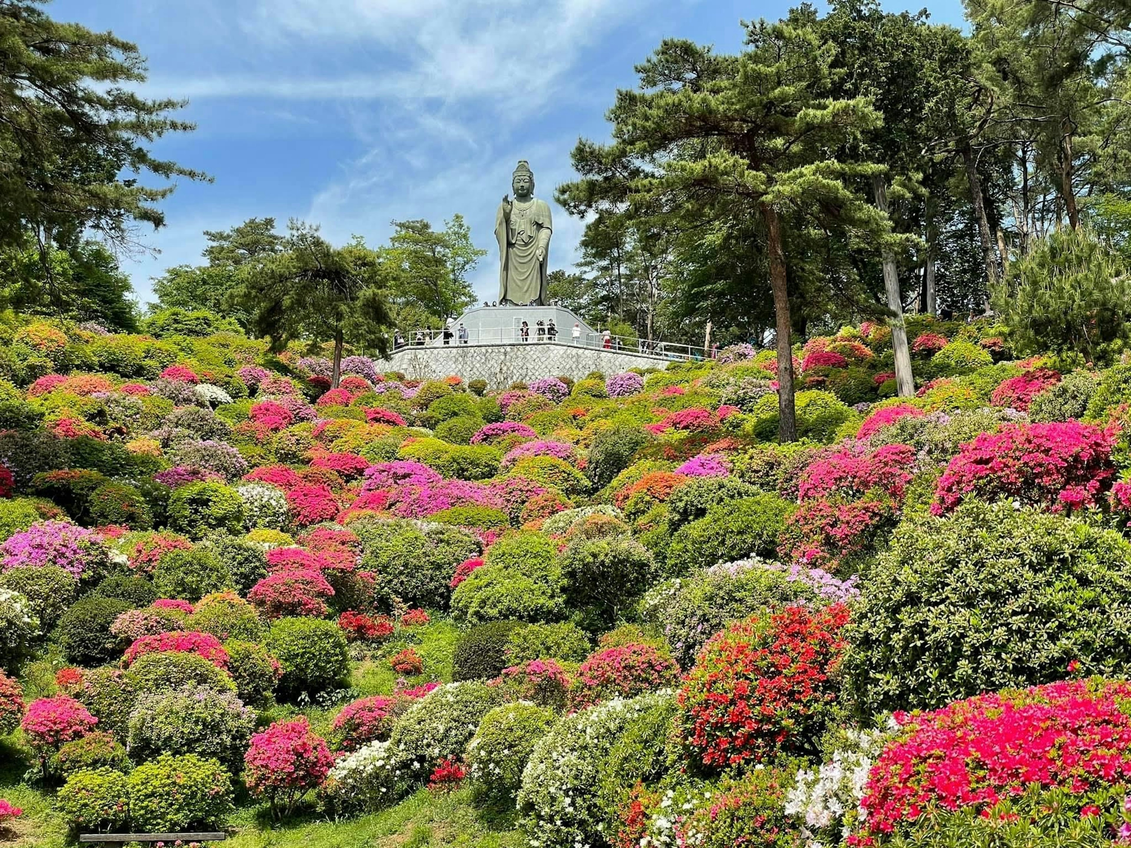 色とりどりの花々に囲まれた大仏像が見える美しい庭園の風景