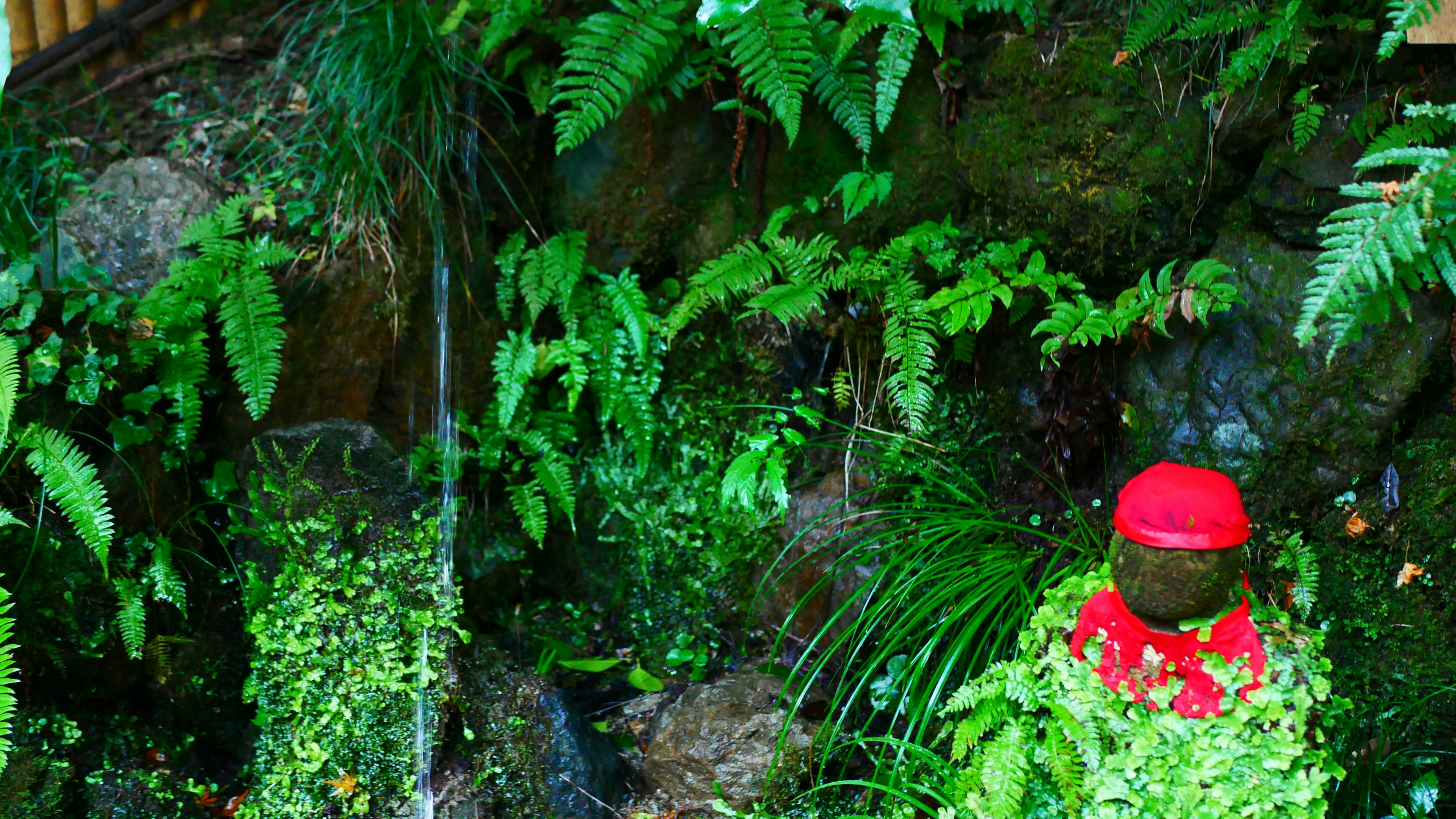 Un pequeño arroyo rodeado de vegetación exuberante y una figura de piedra con un sombrero rojo