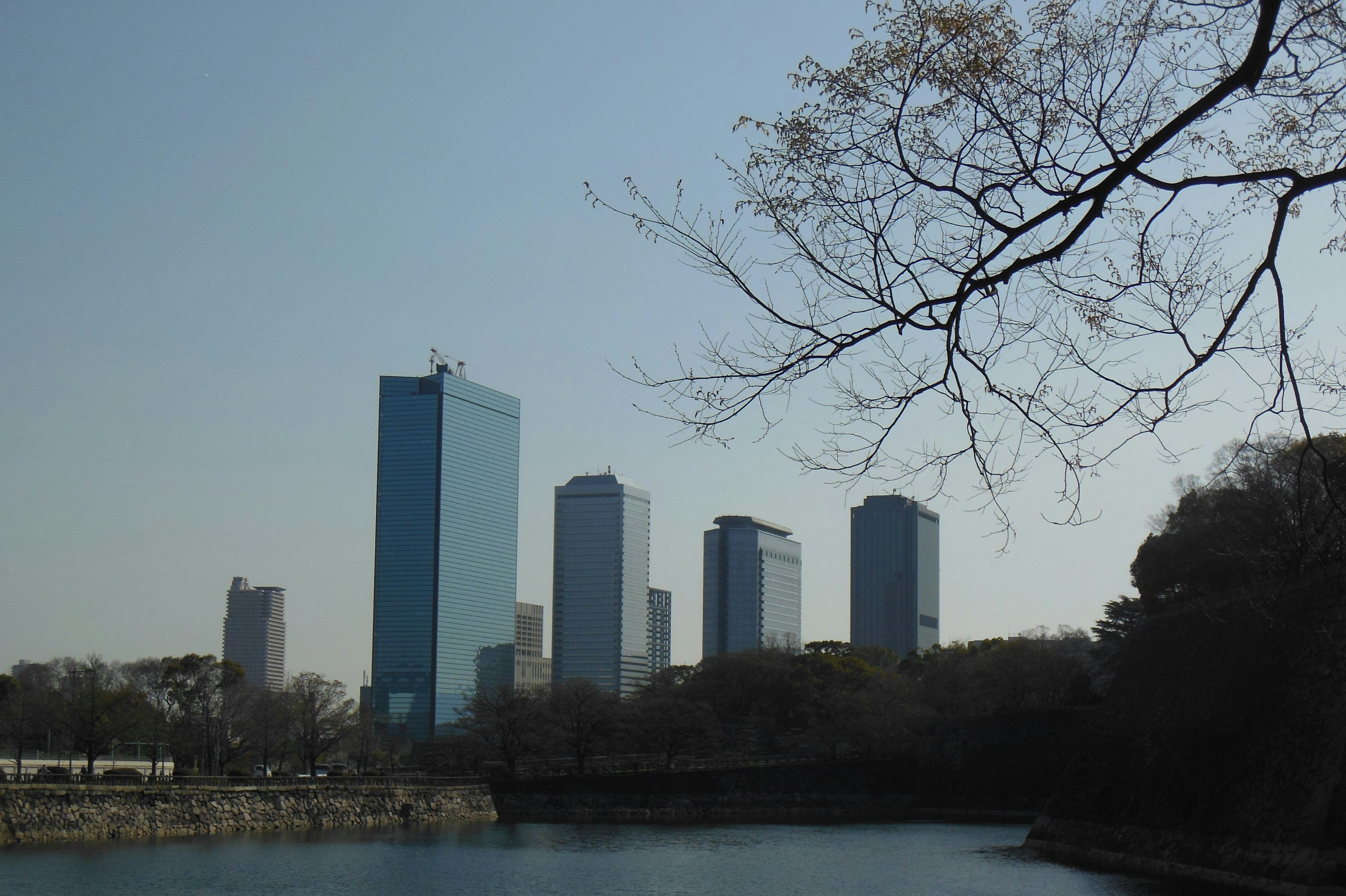 Tokyo skyline featuring tall buildings and a calm water surface