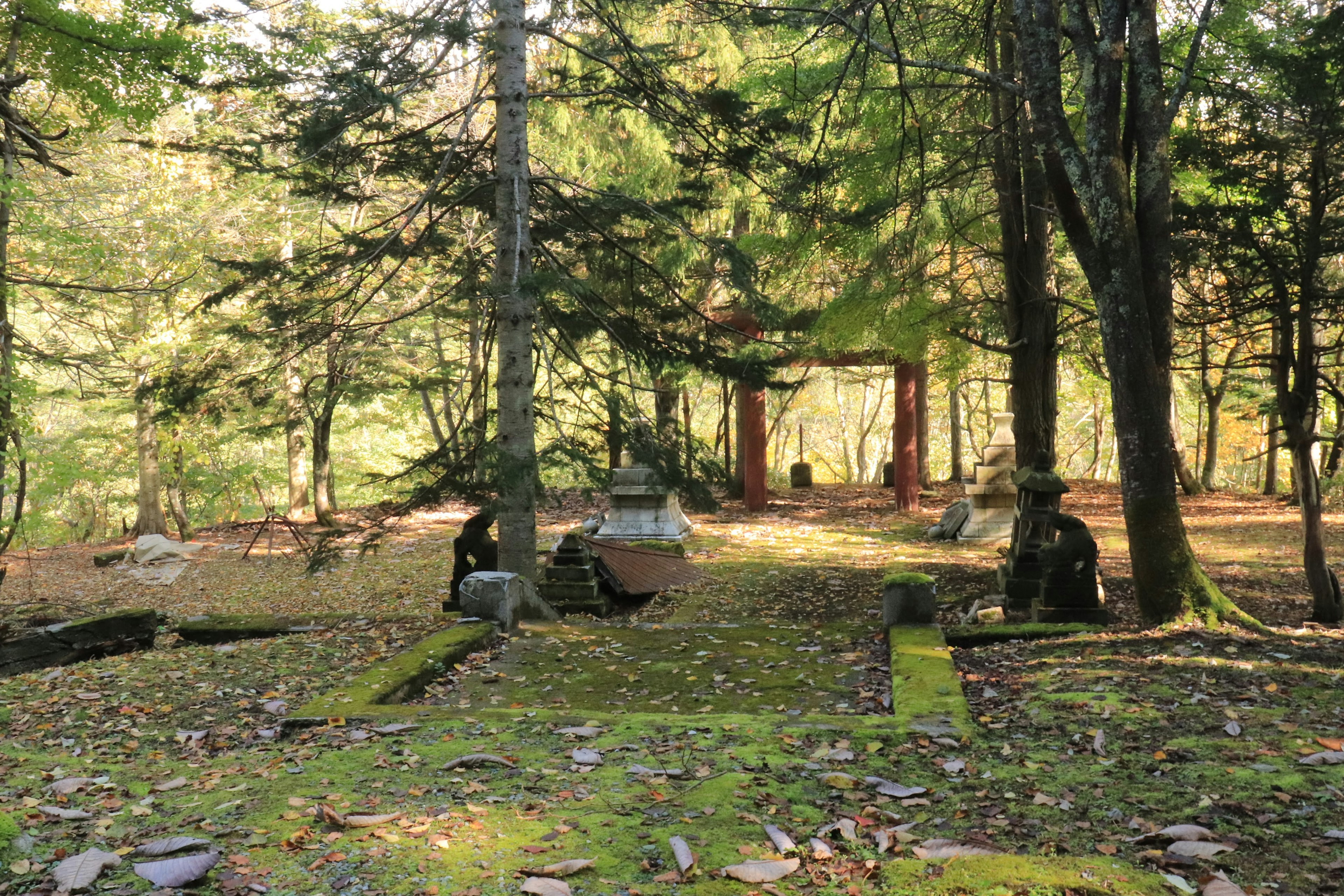 Serene park scene in a lush forest featuring stone sculptures