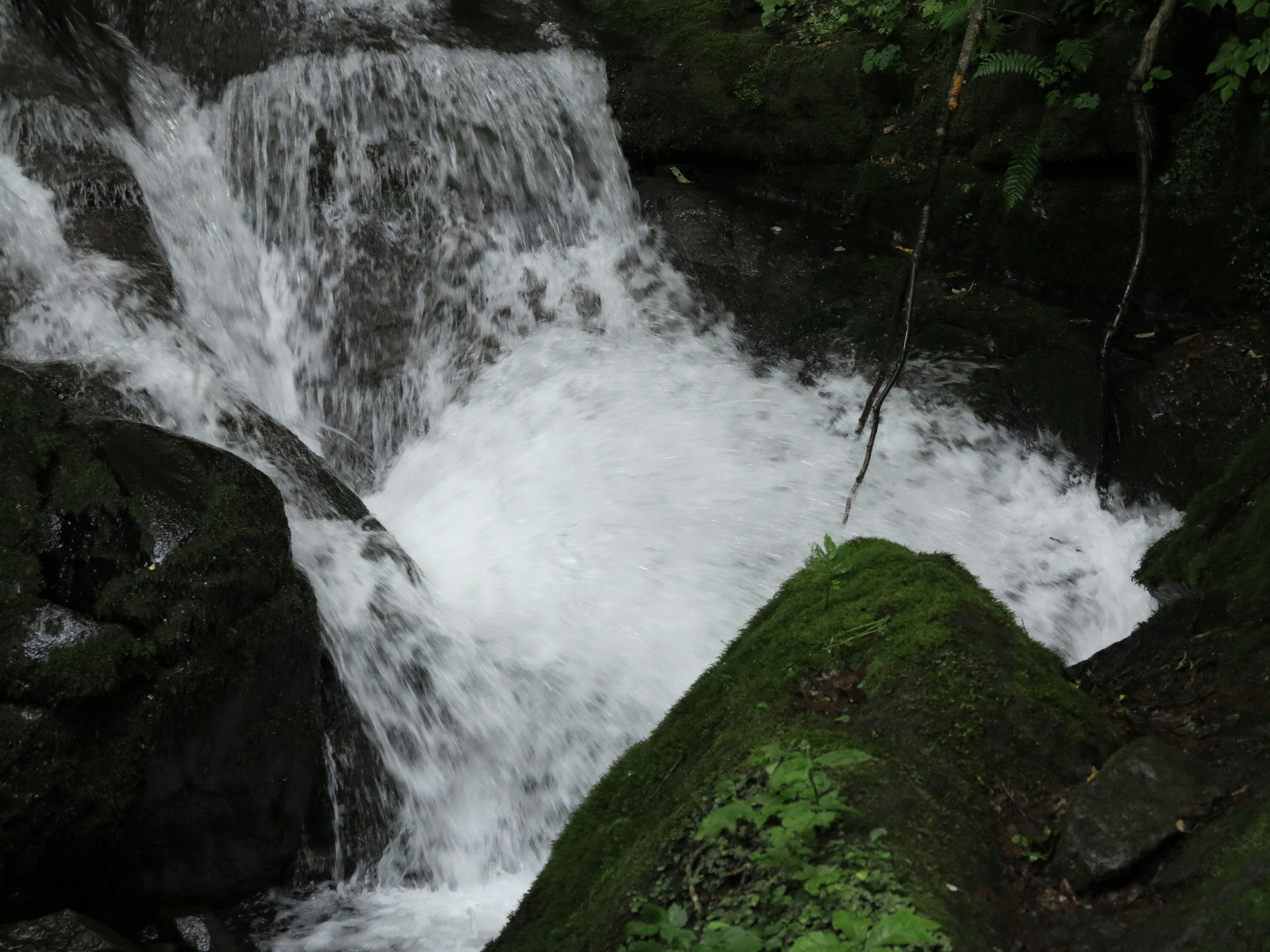 Rapid waterfall flowing between moss-covered rocks