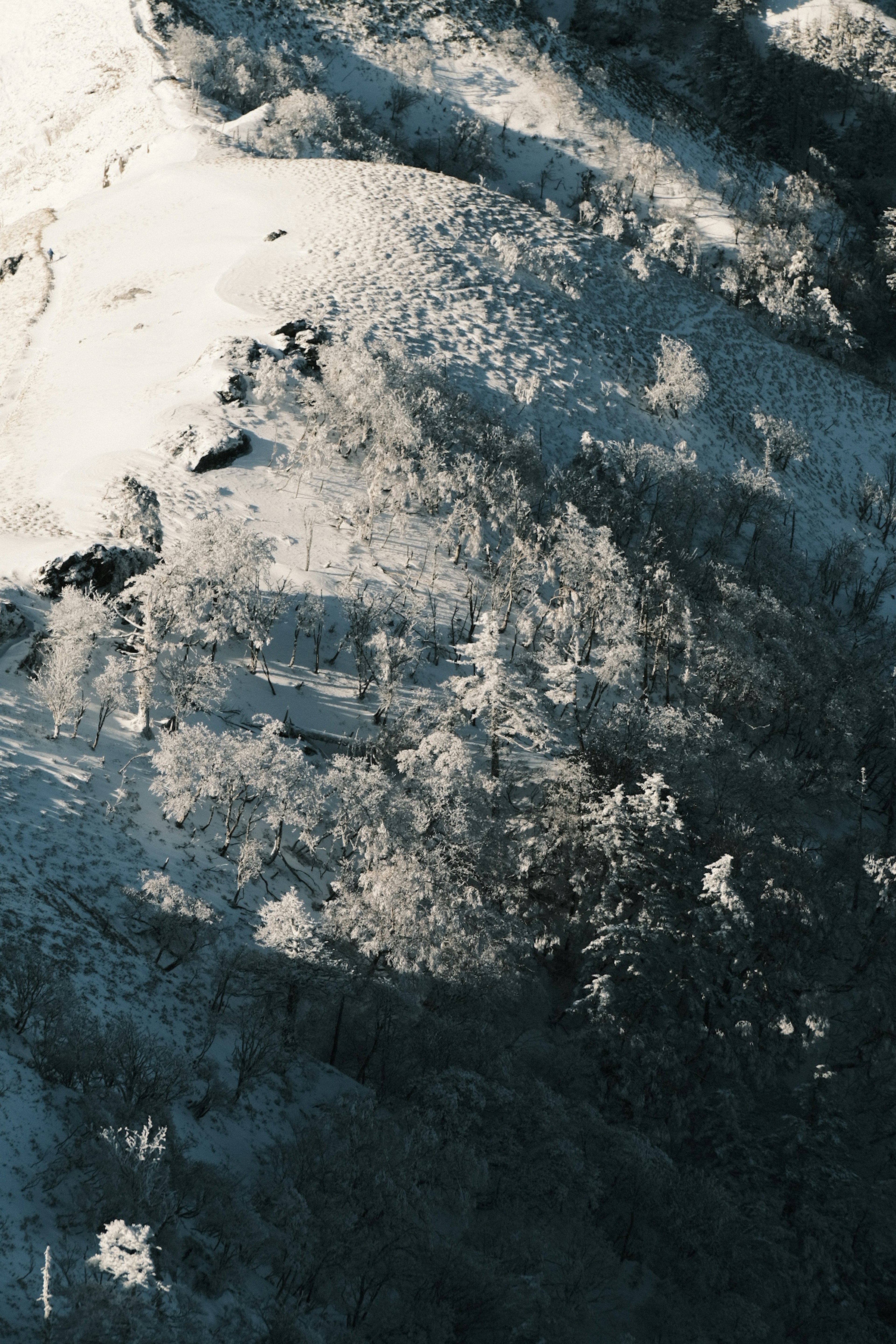 Snow-covered mountain slope with shadows of trees