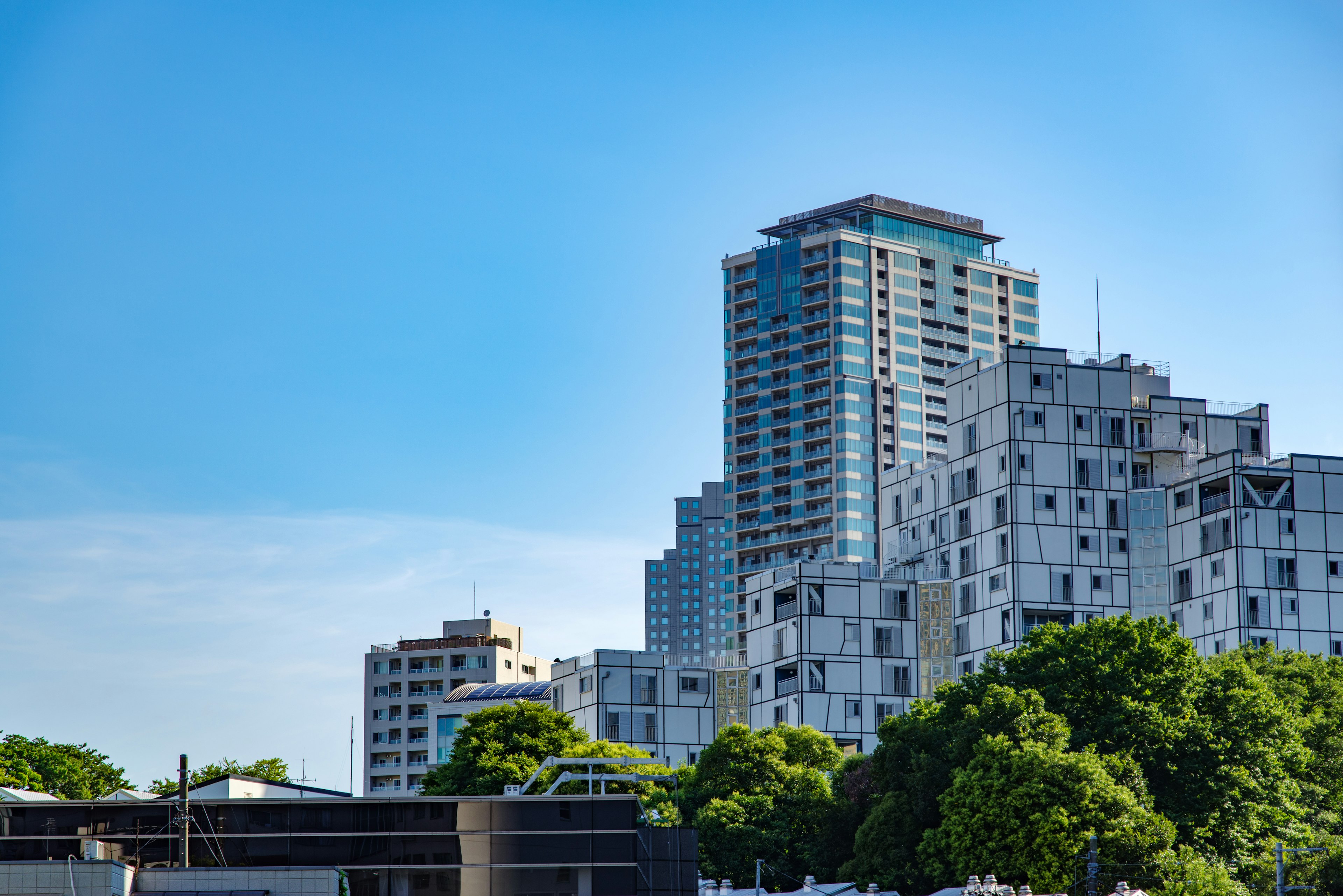 Modern skyscrapers against a backdrop of blue sky and green trees