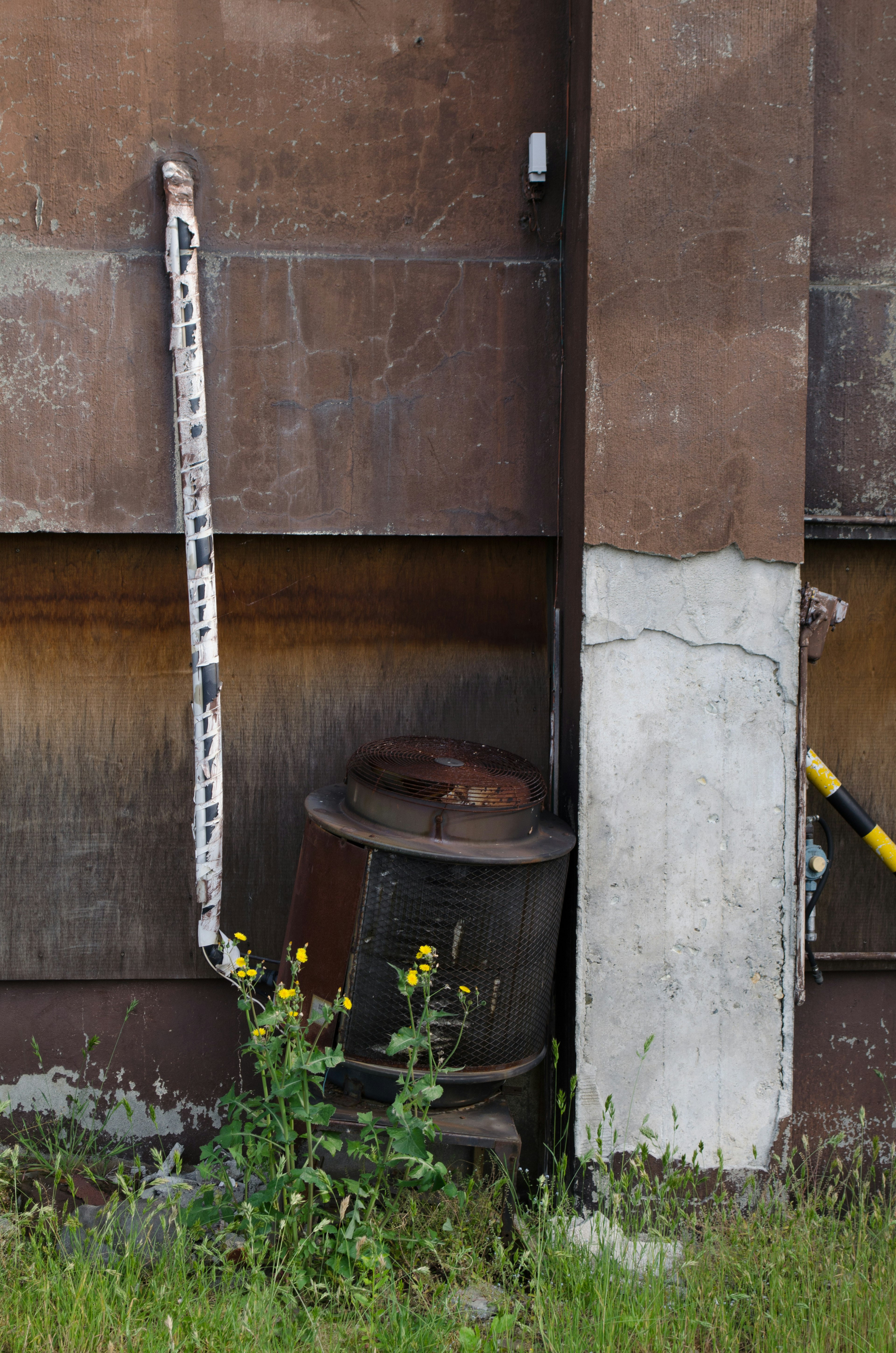 Rusty drum can and grass in front of an old metal wall