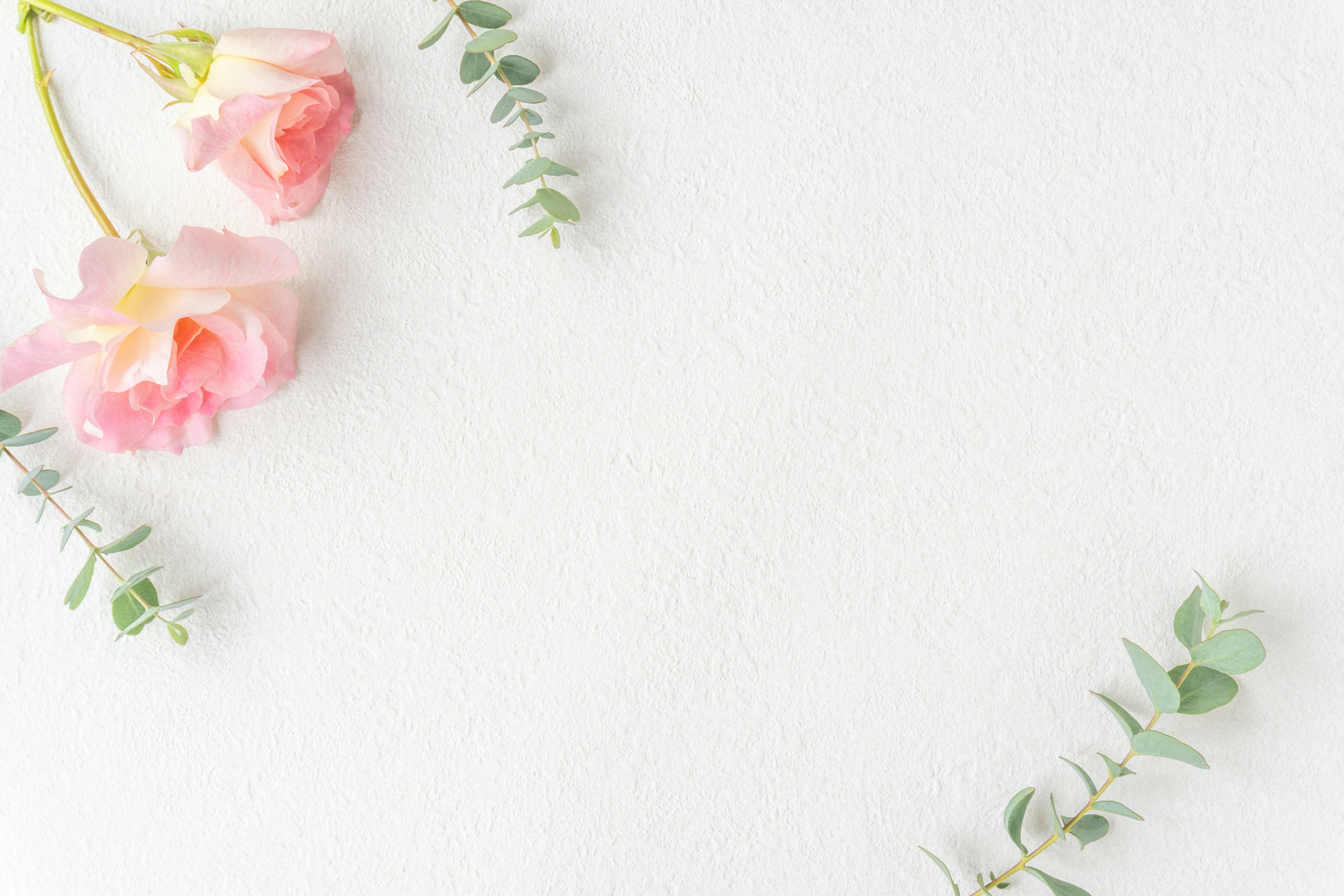 Delicate pink flowers and eucalyptus leaves arranged on a white background