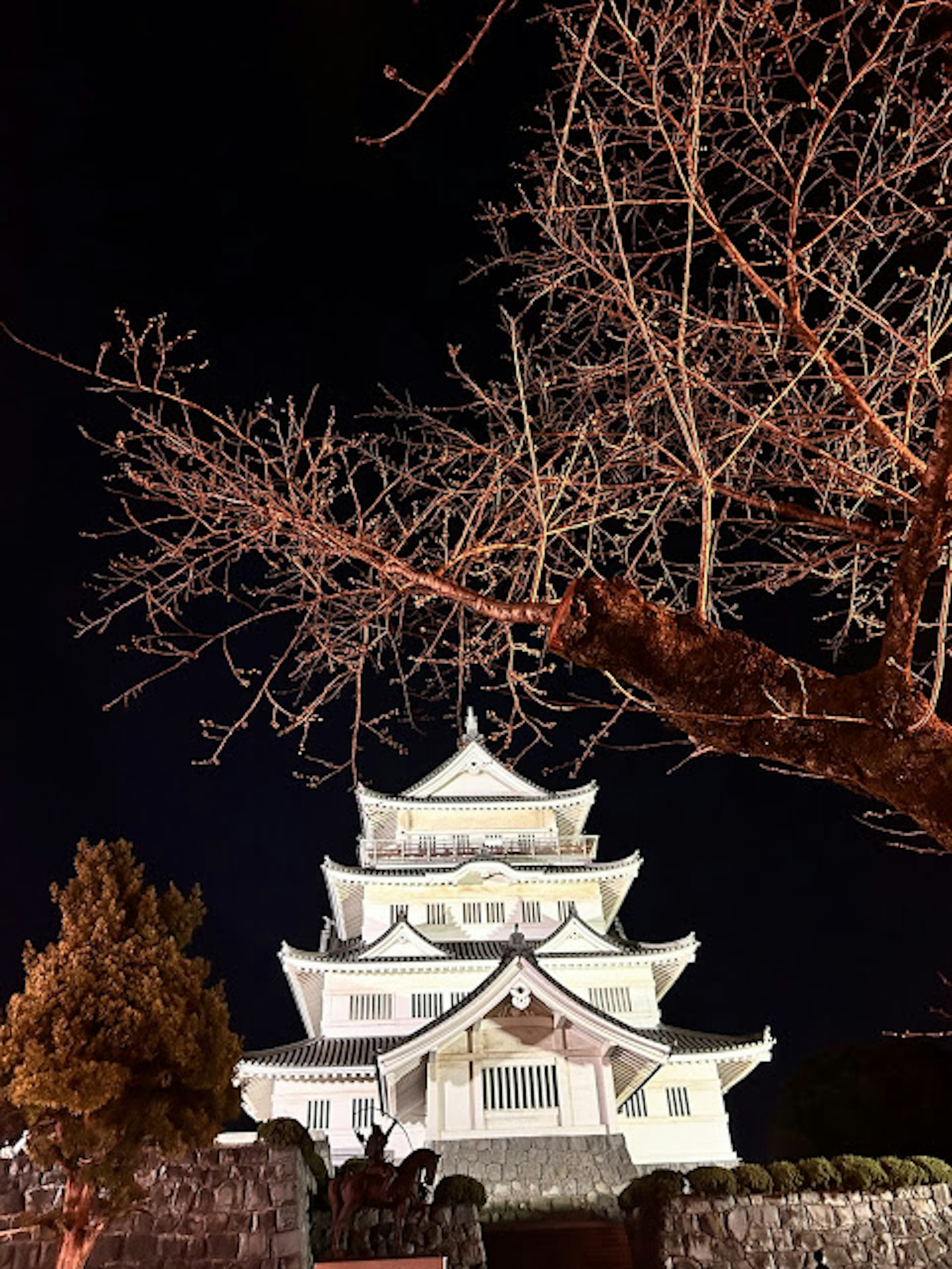 Nagoya Schloss bei Nacht beleuchtet mit einem Baumzweig im Vordergrund