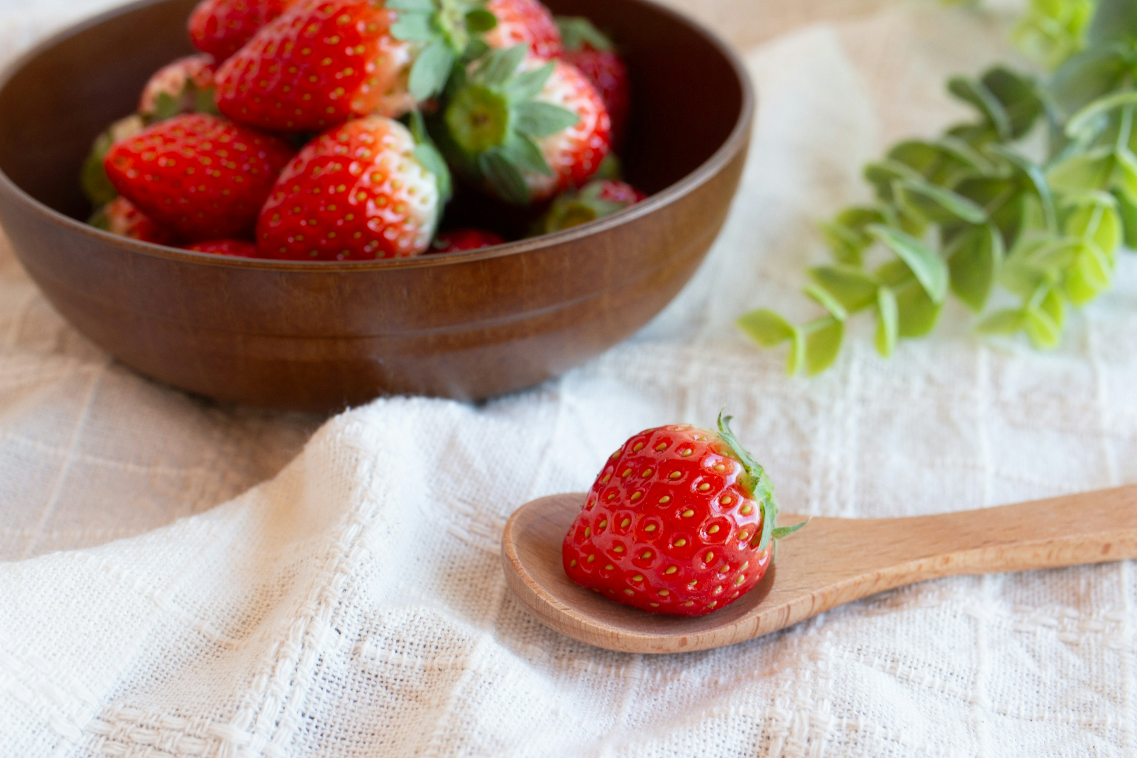 Frische Erdbeeren in einer Holzschüssel mit einer Erdbeere auf einem Holzlöffel auf einem weißen Tuch