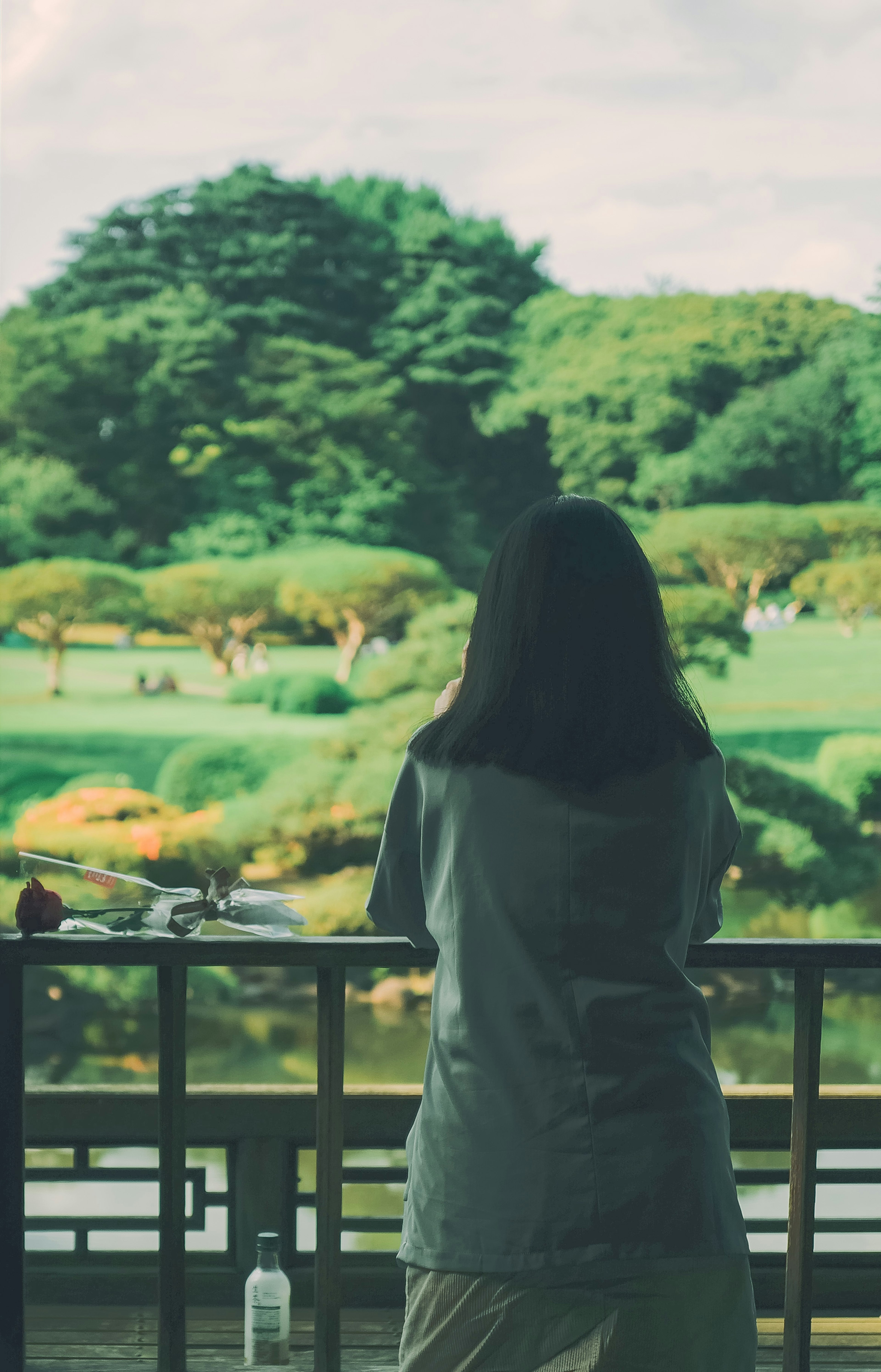 庭園を眺める女性の背中 緑豊かな風景