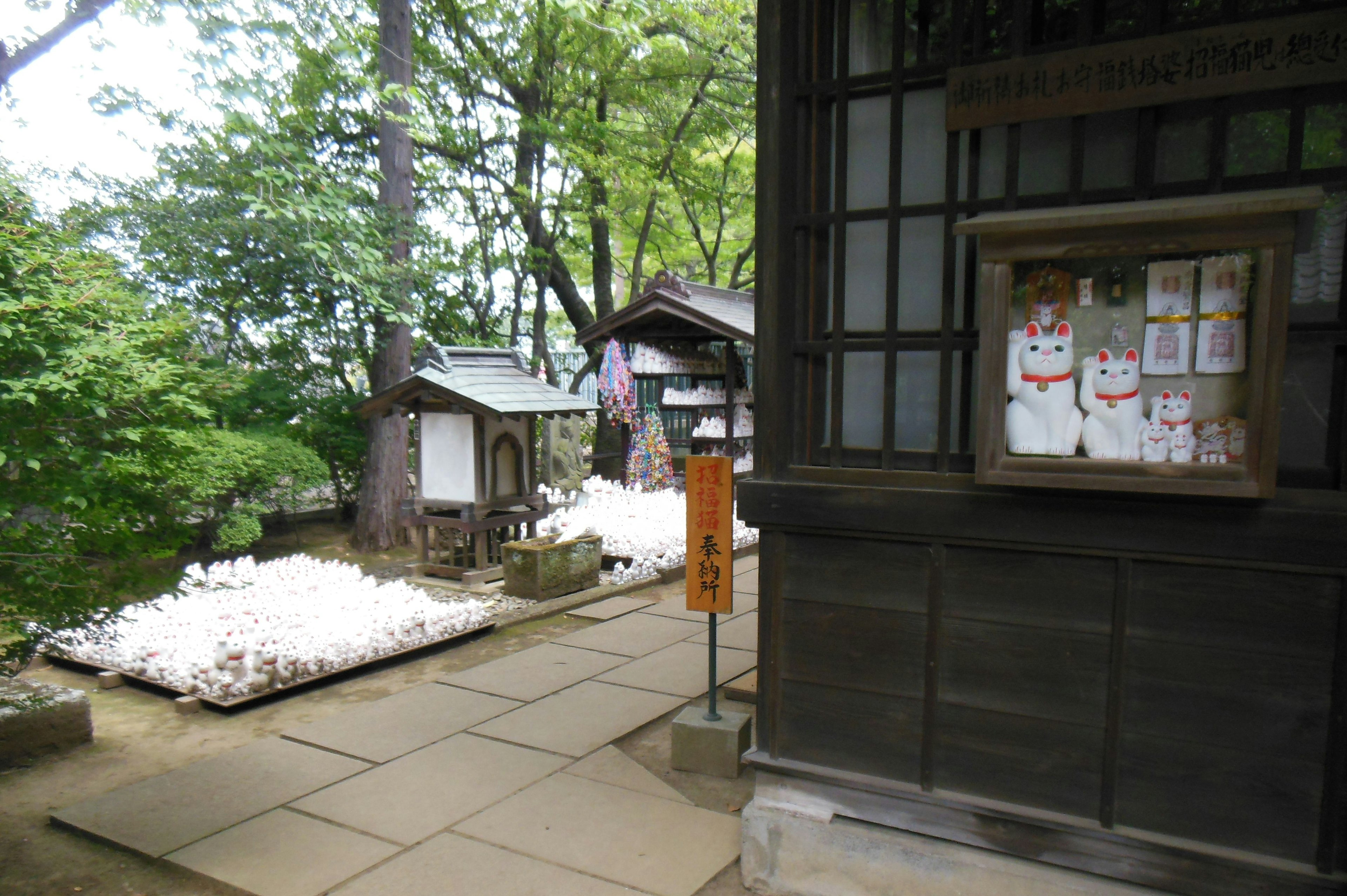 Quiet shrine scene with white stones lined along a path surrounded by green trees