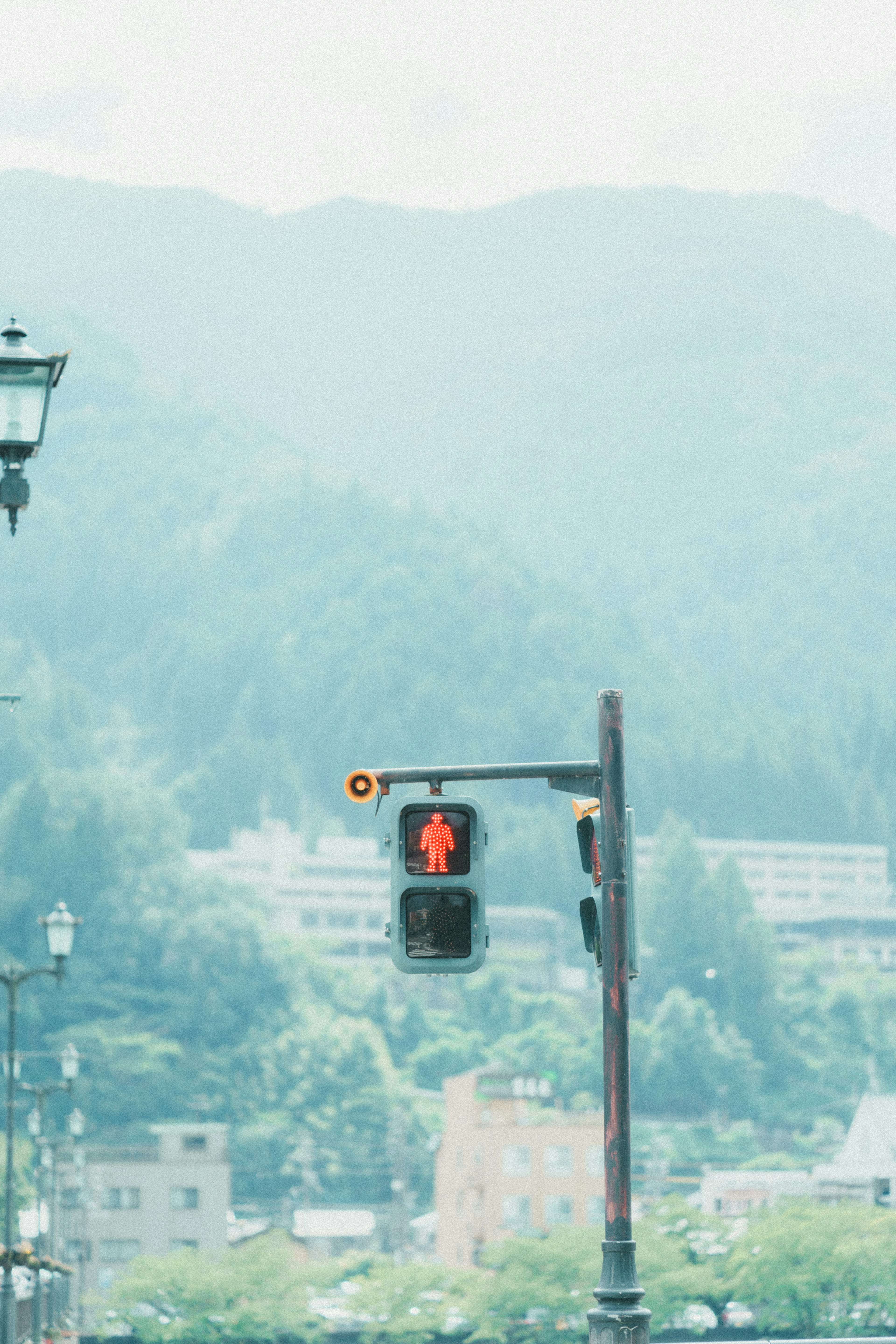 Red traffic light with pedestrian signal against a mountainous background