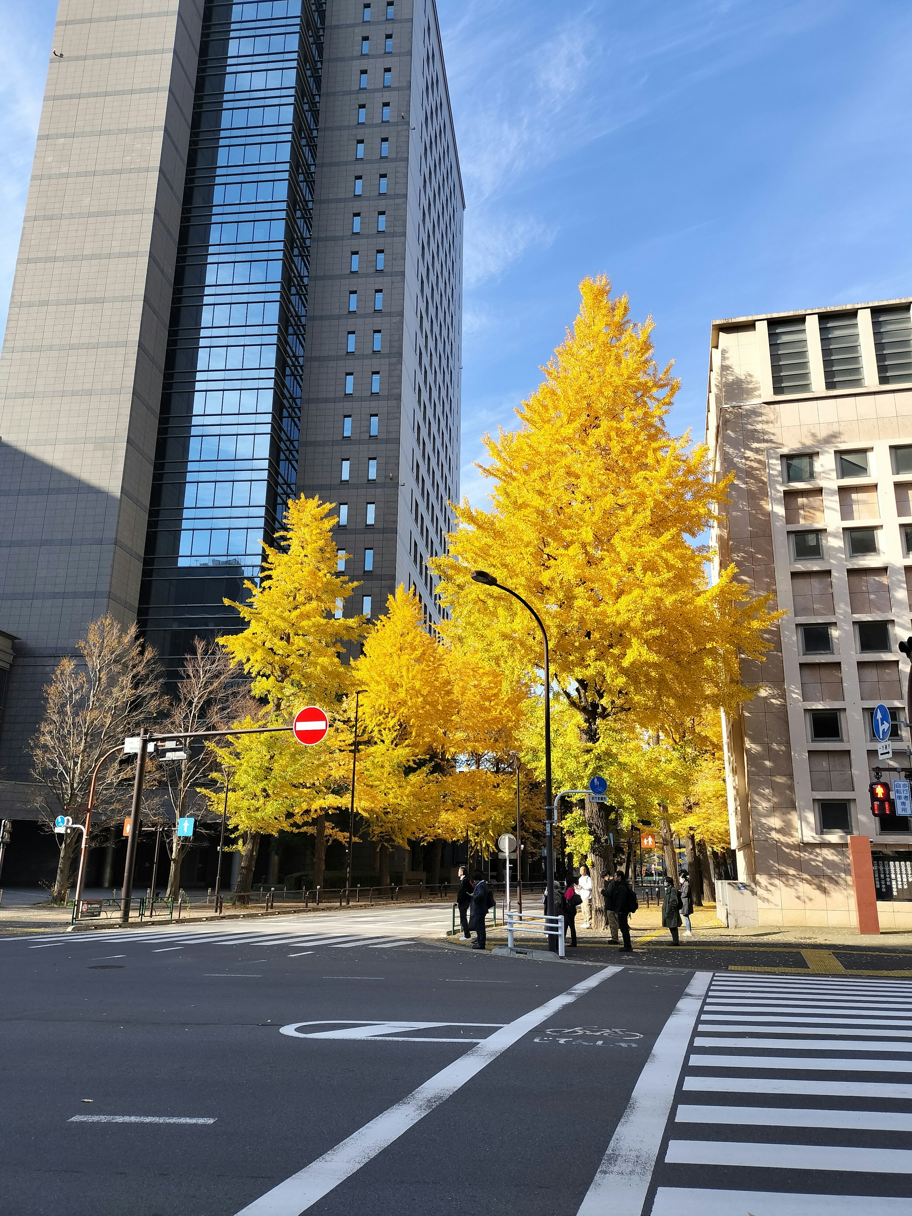 Pemandangan jalan dengan gedung tinggi dan pohon ginkgo kuning cerah