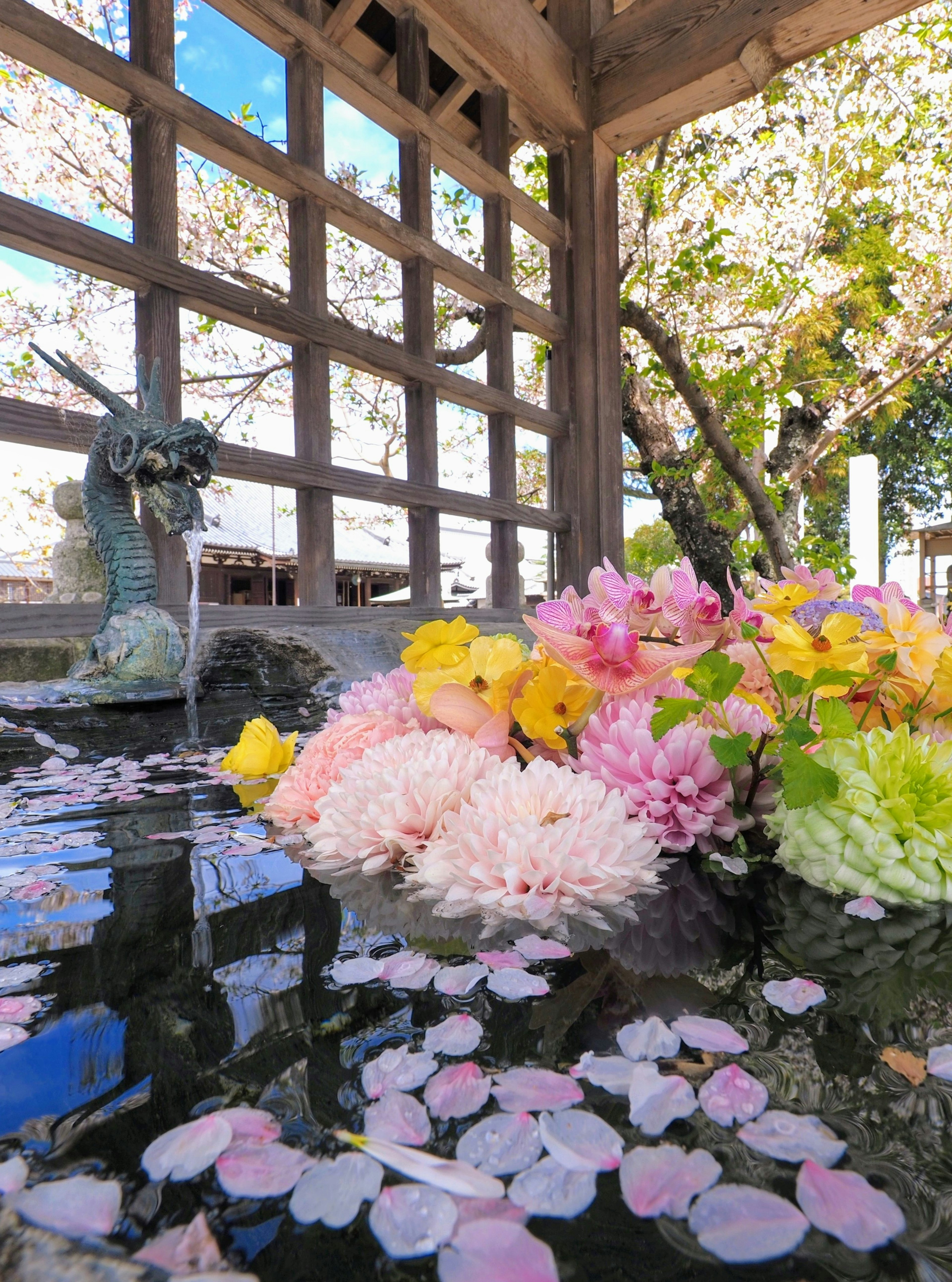 Bunga berwarna-warni mengapung di kolam tenang dengan kelopak bunga sakura