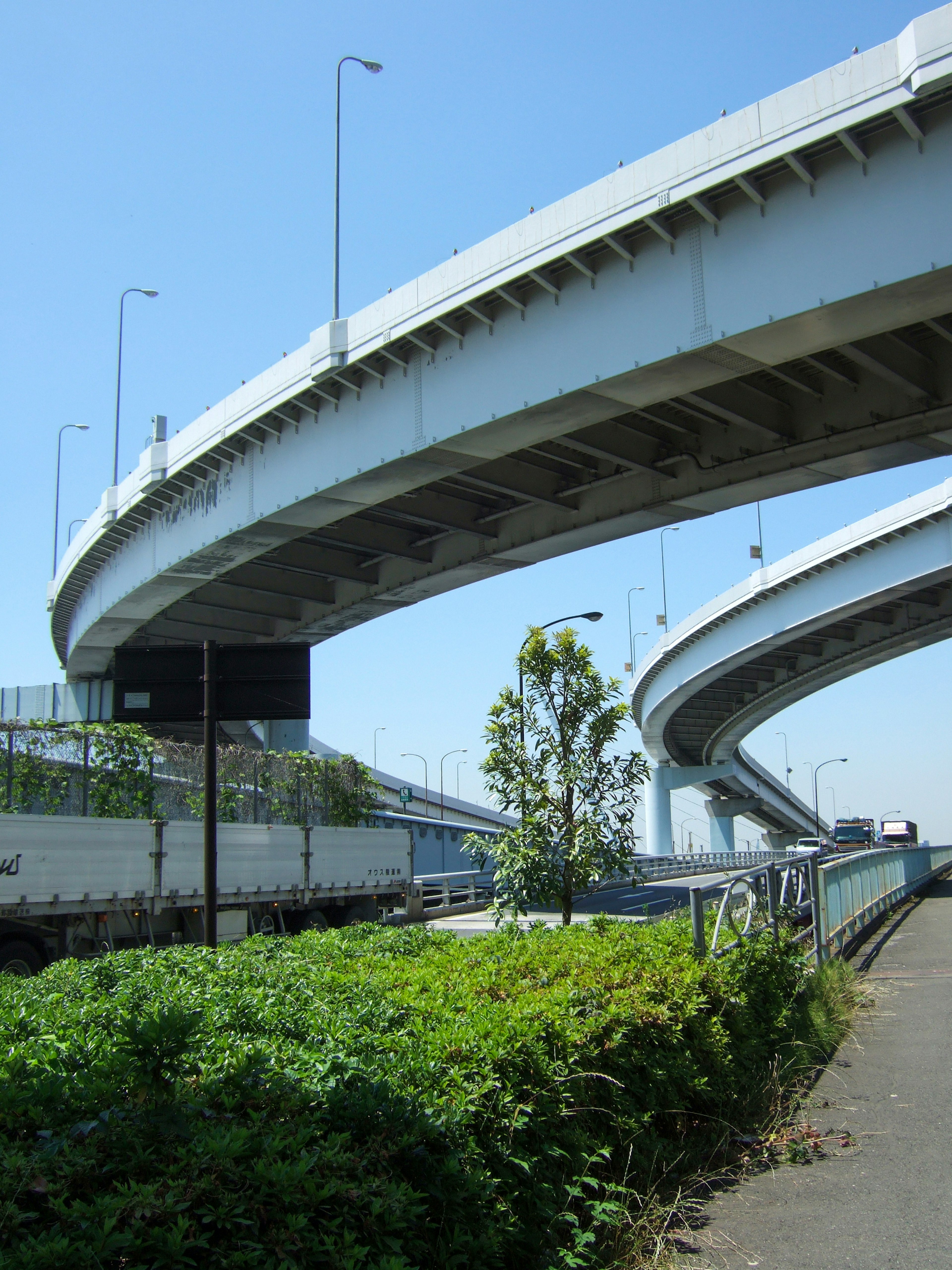 Viaduc courbé avec feuillage vert sous un ciel bleu