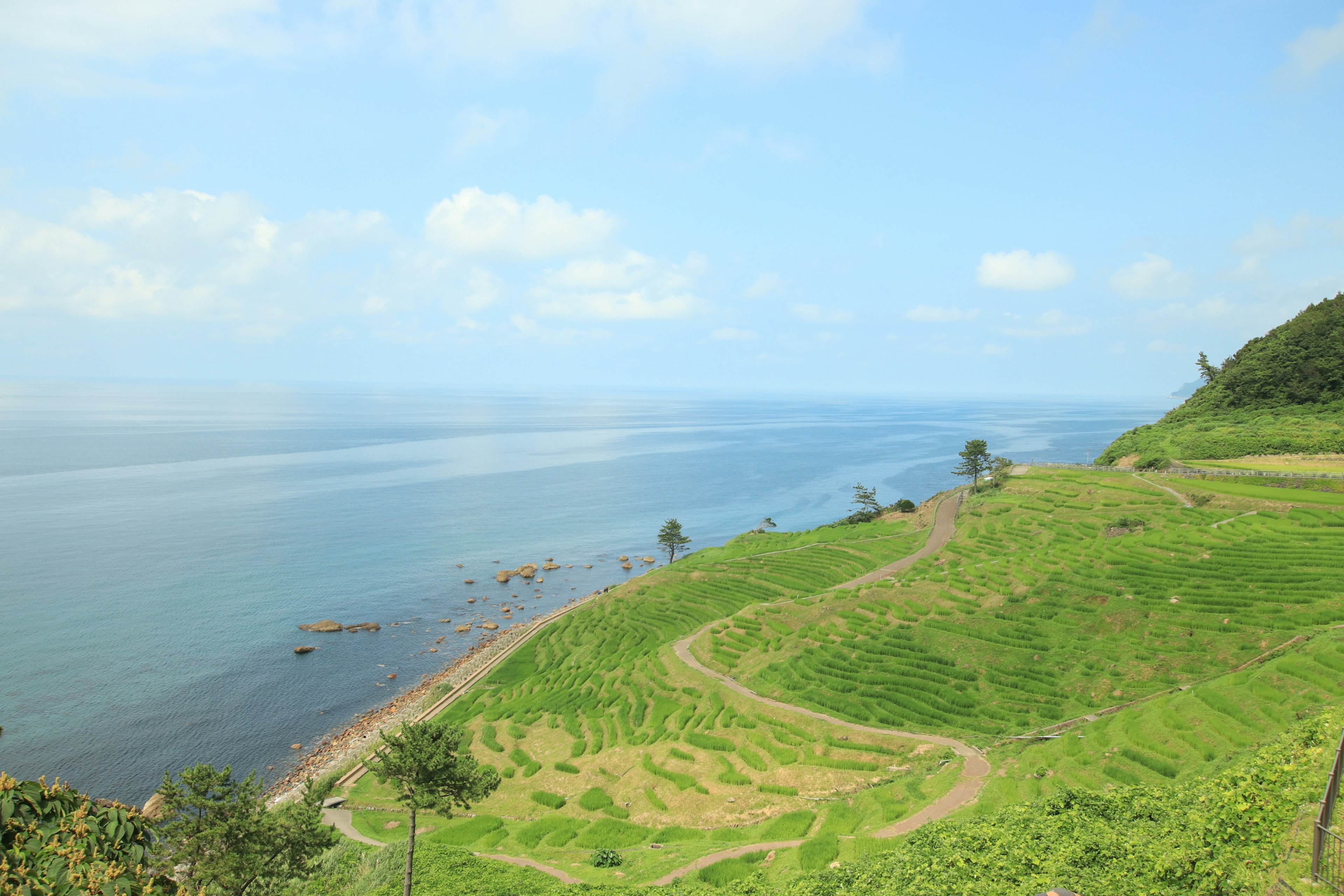 Scenic view of blue ocean and green hills