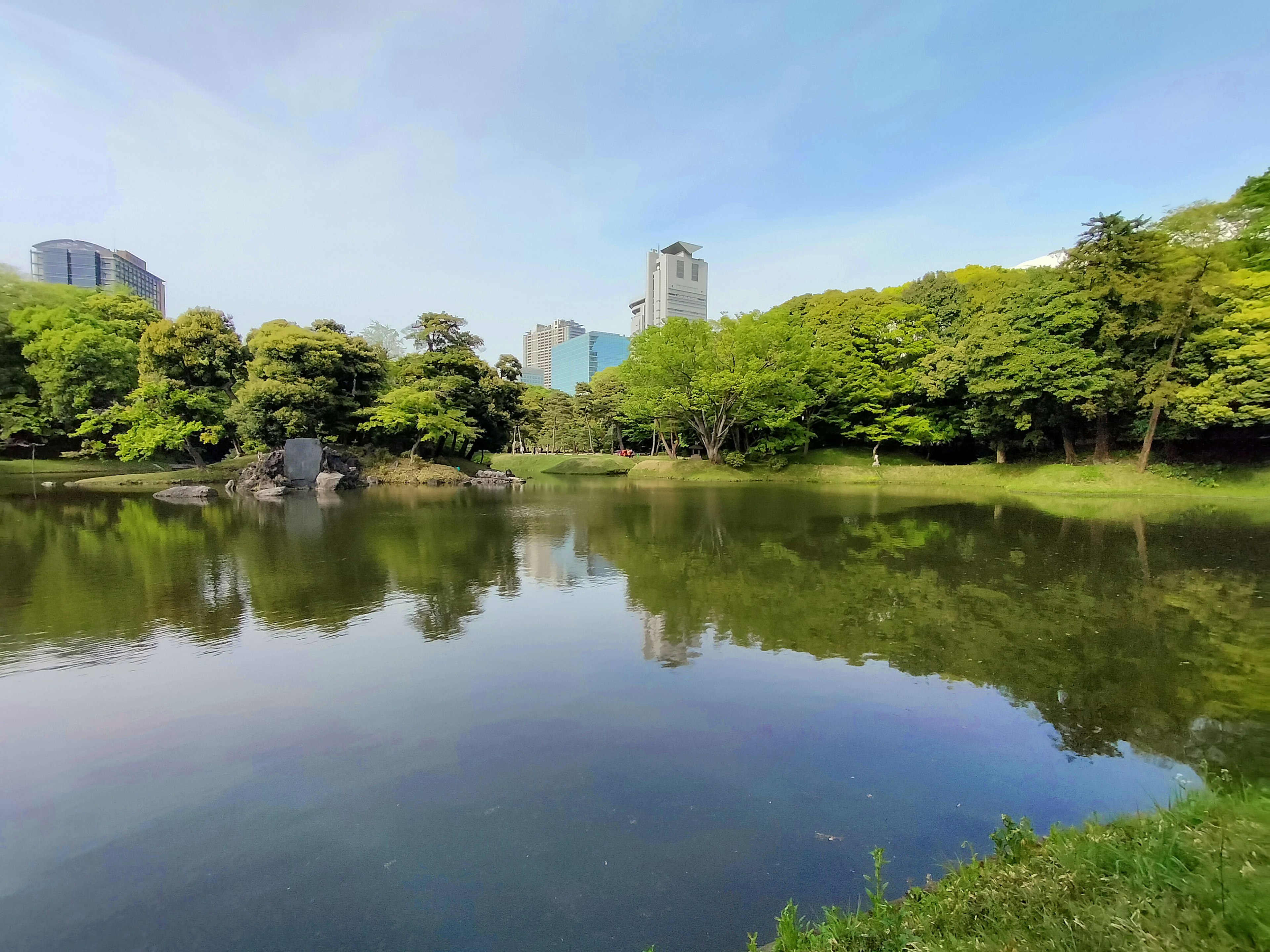 郁郁蔥蔥的公園池塘和周圍高樓的倒影