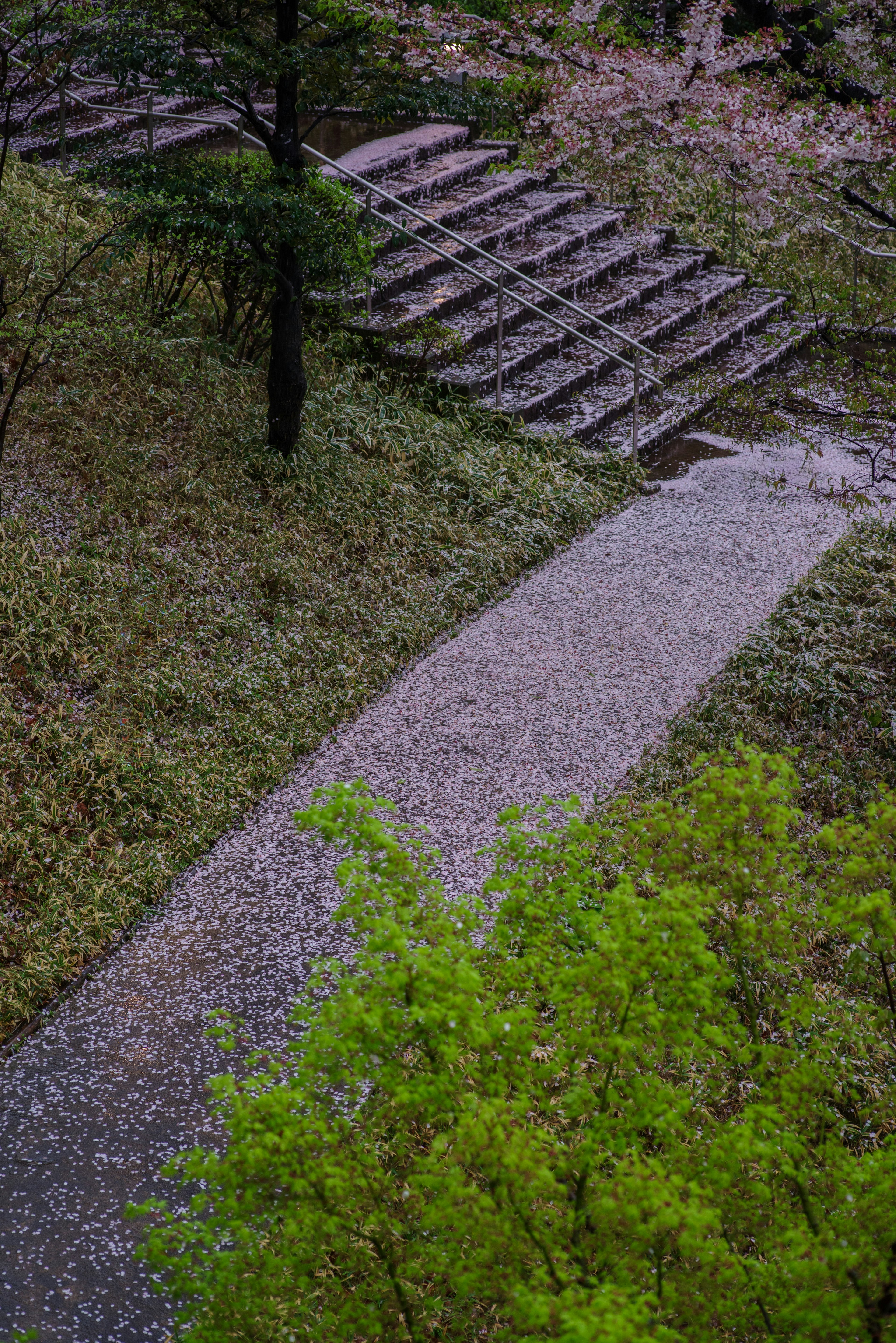 緑の木々と石の小道が交差する風景 階段が背景に見える