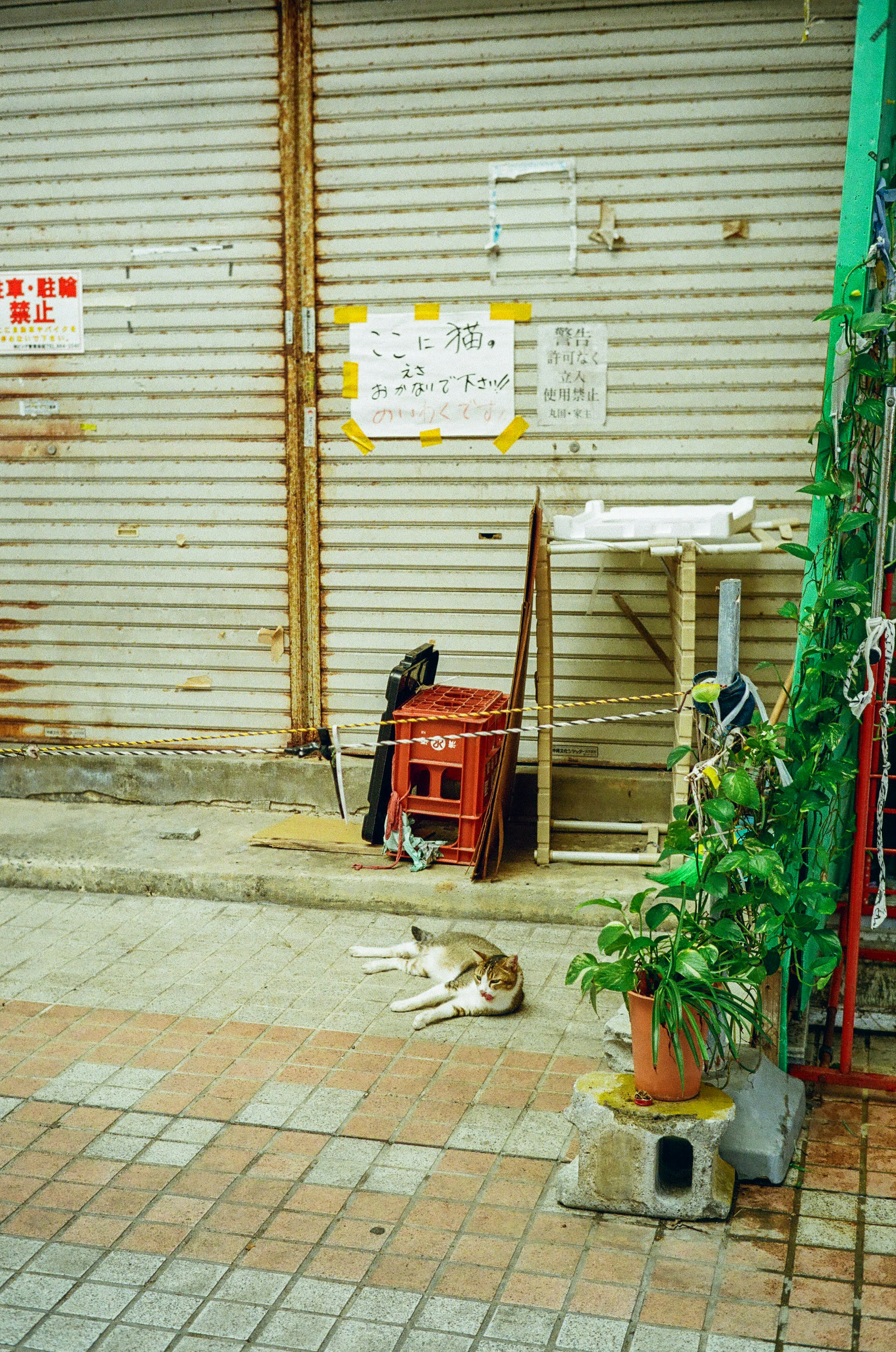 シャッターの前に寝ている犬と周囲の物体が特徴的な街角の風景