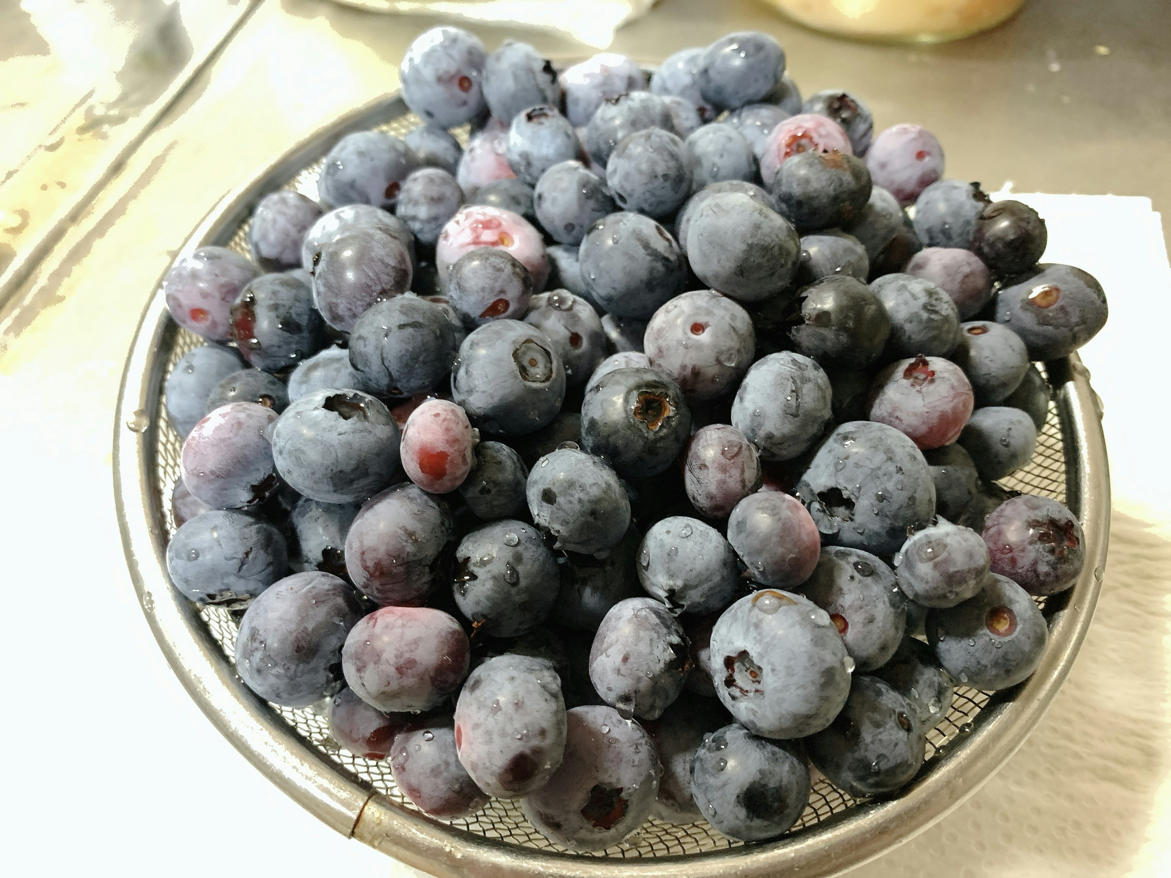 Ein Sieb voller frischer Blaubeeren