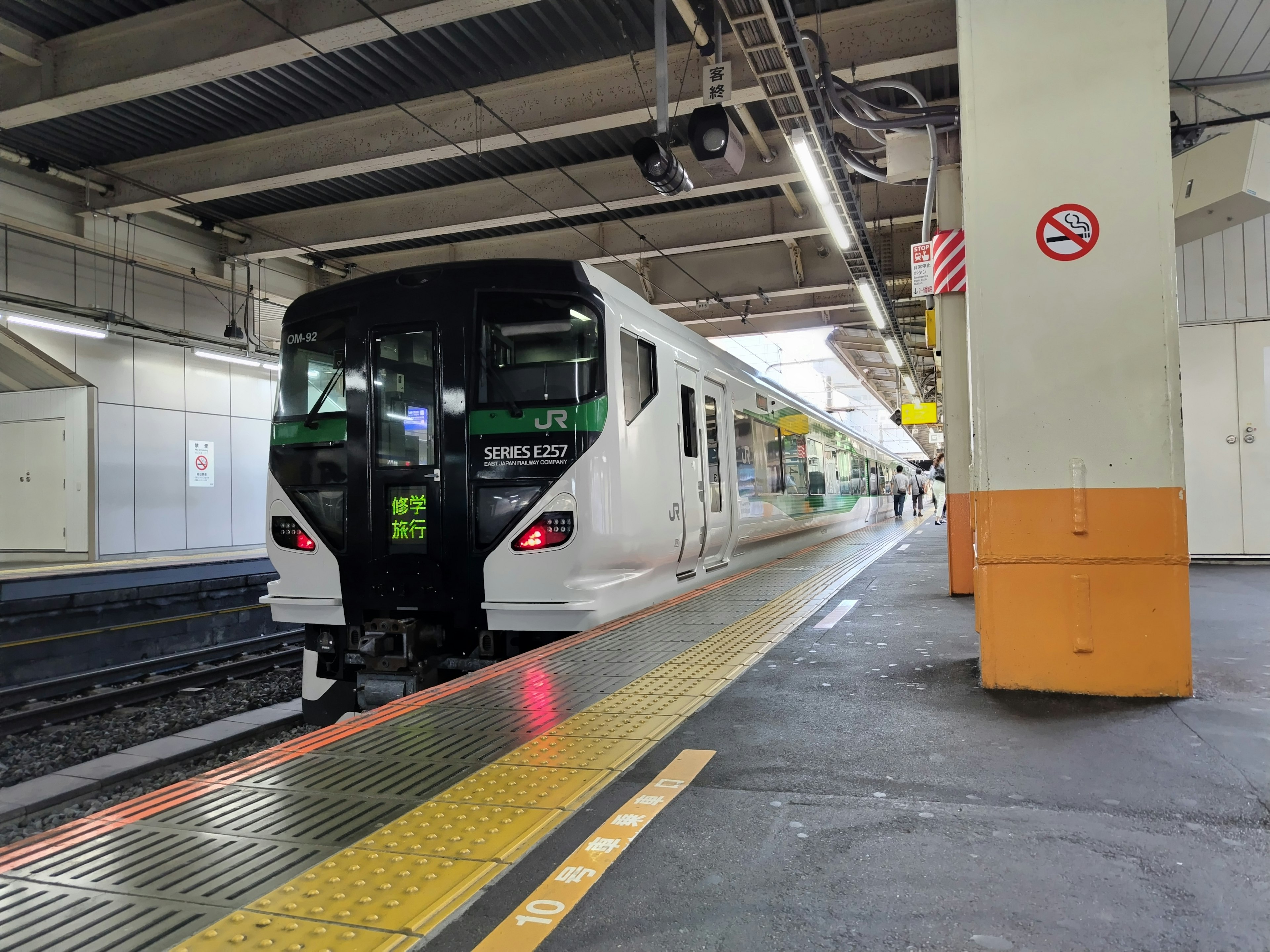 Tren blanco en una estación con detalles del andén