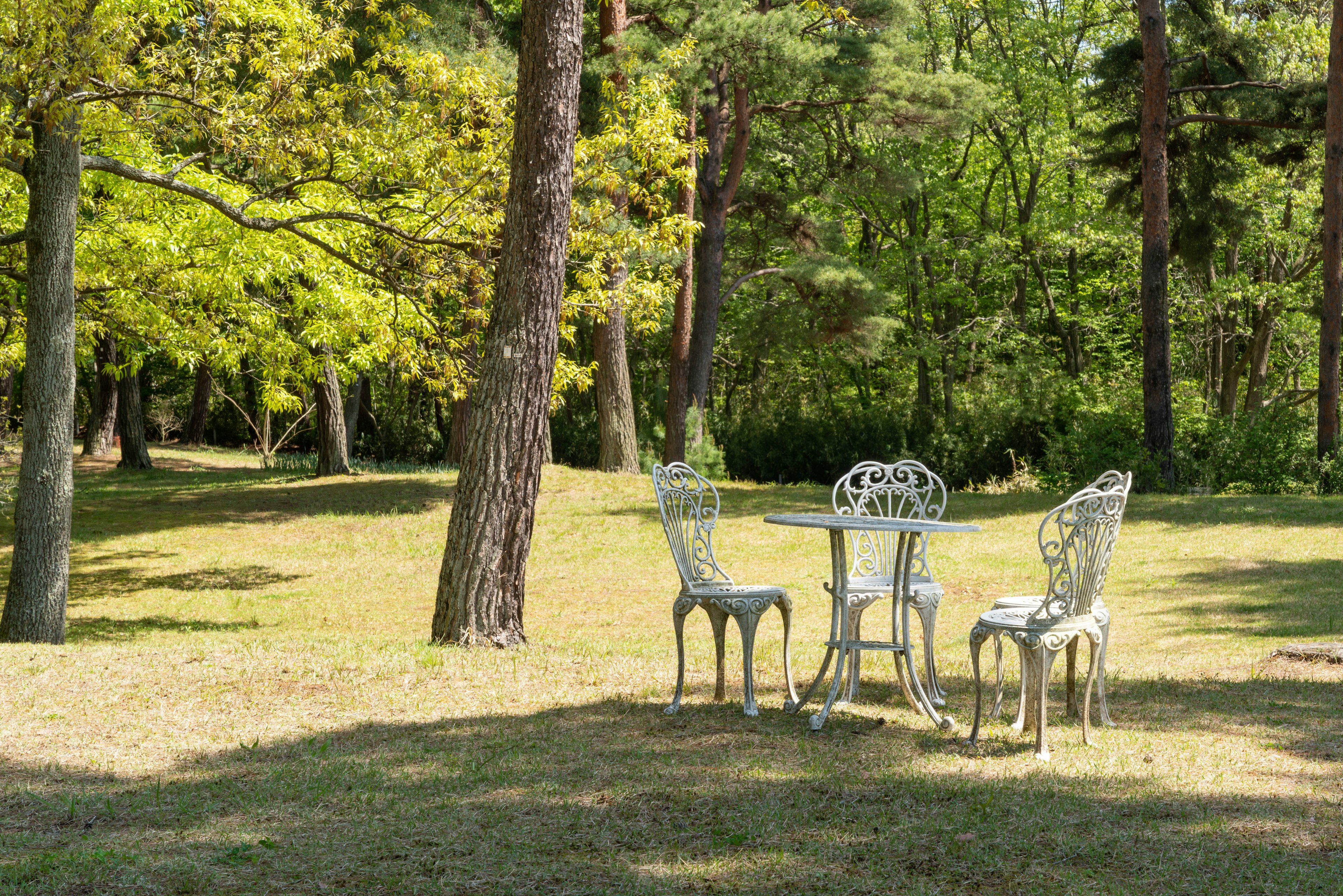 Set di tavolo e sedie in ferro bianco in un parco verdeggiante