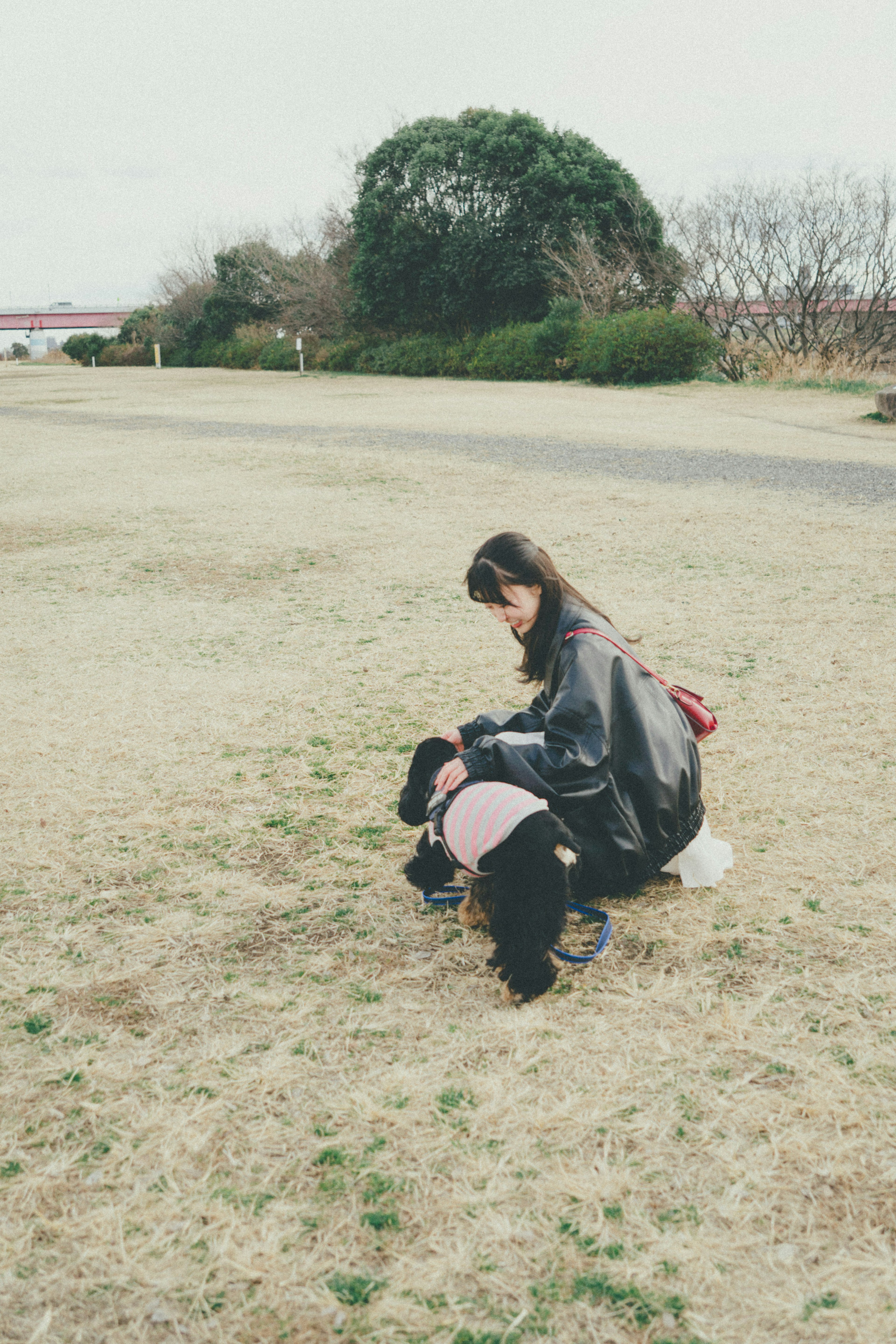 Woman crouching down playing with a dog in a park