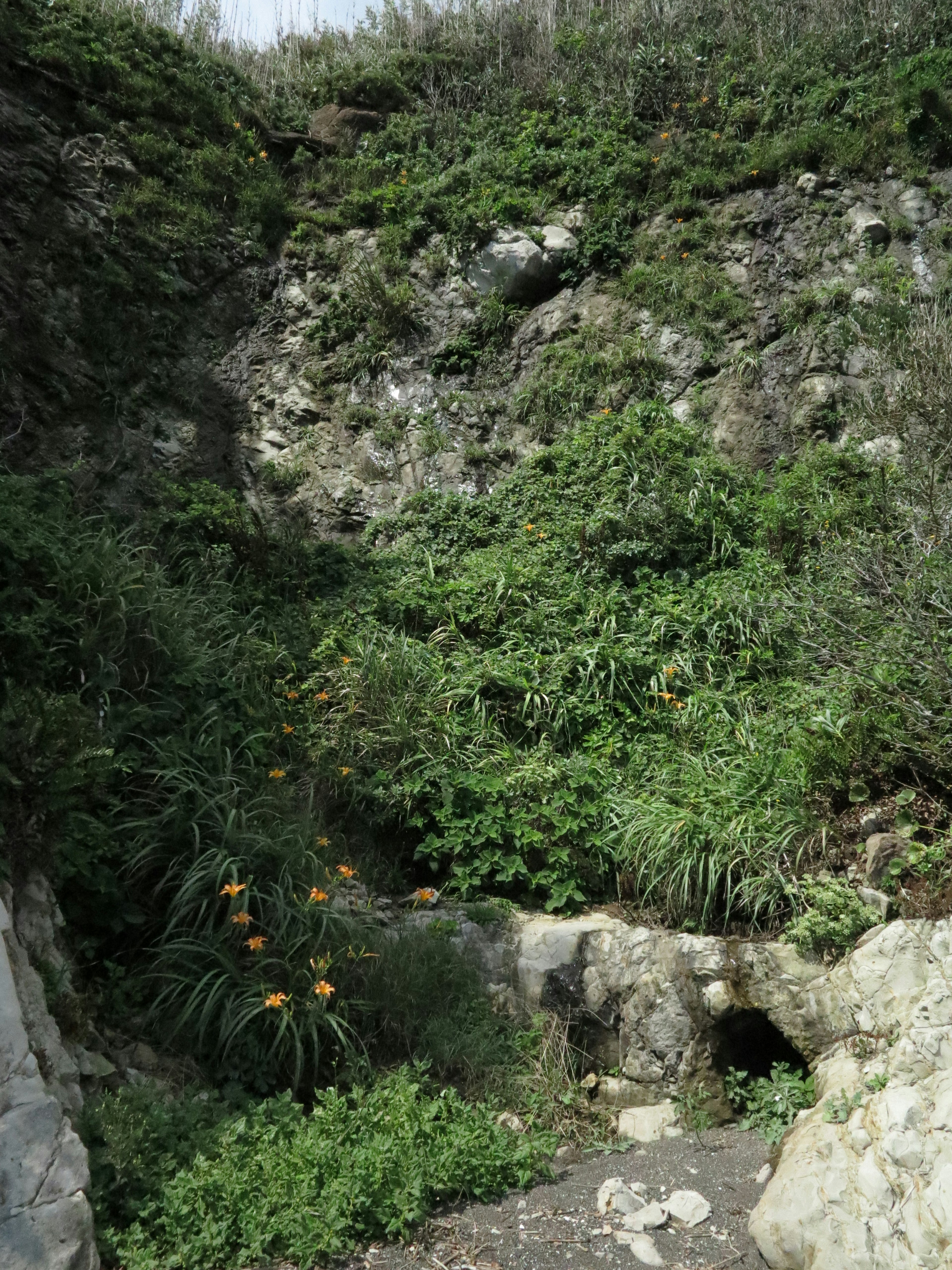 Una piccola sorgente circondata da una vegetazione lussureggiante e da scogliere rocciose