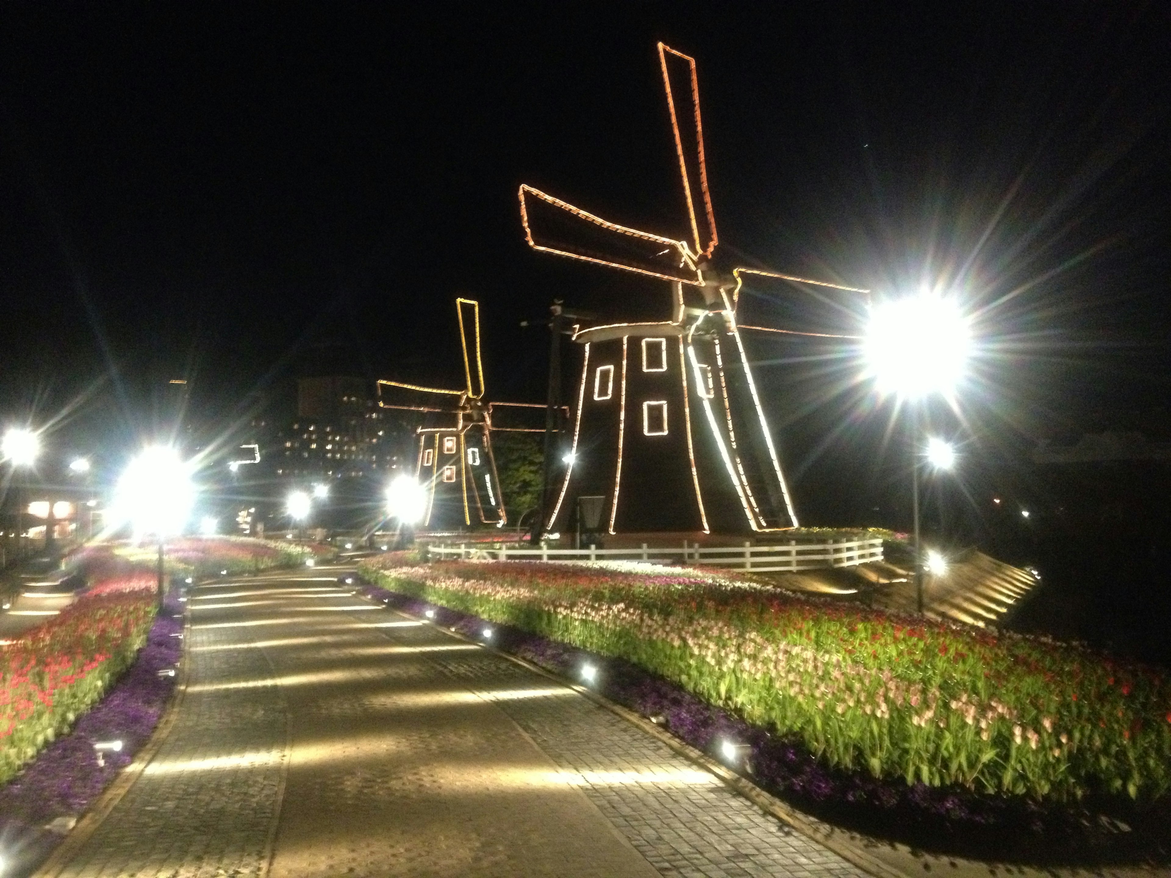 Illuminated windmills at night with colorful flowers lining the path