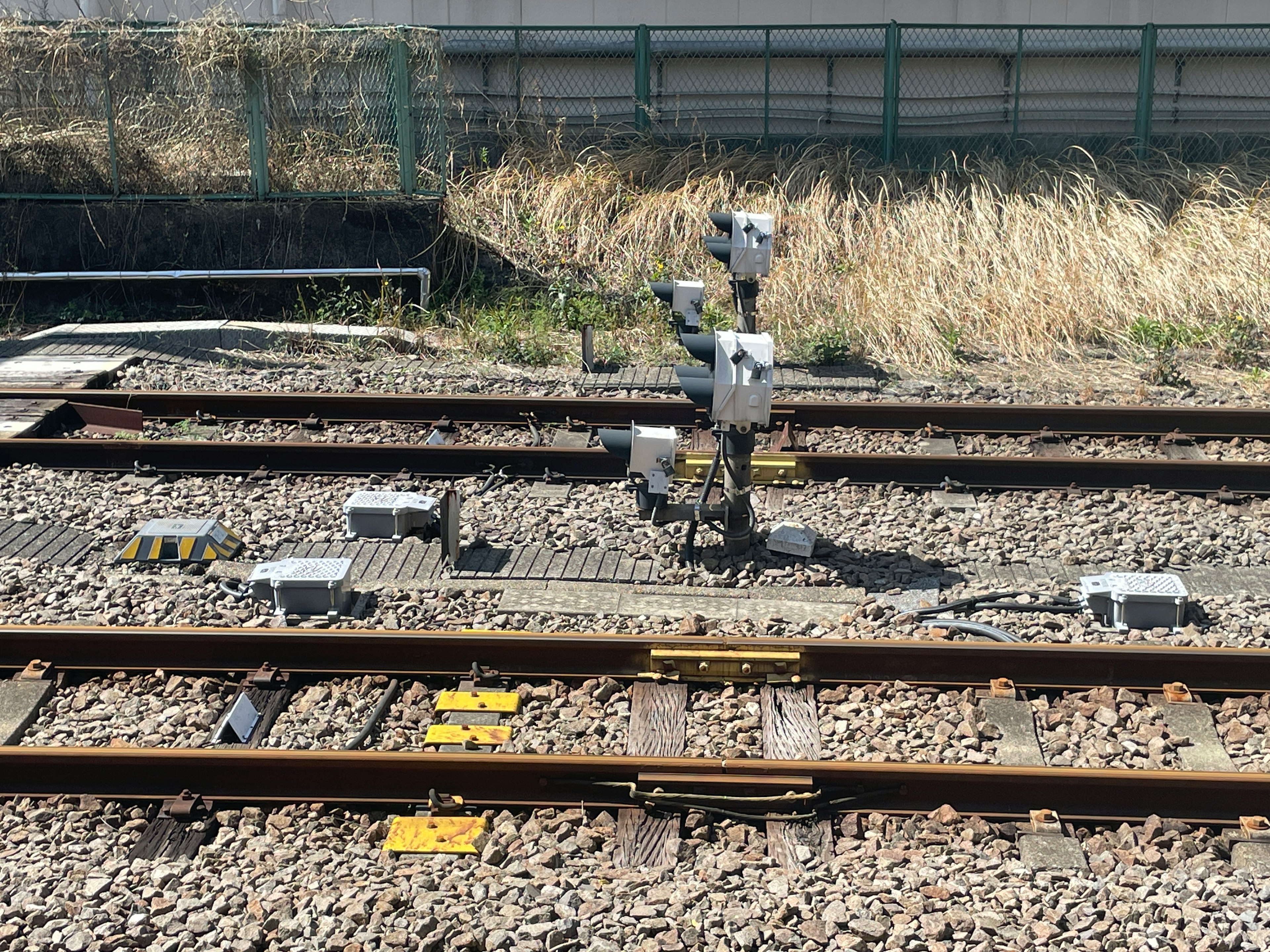 鉄道の信号機とレールの写真、草が生えている