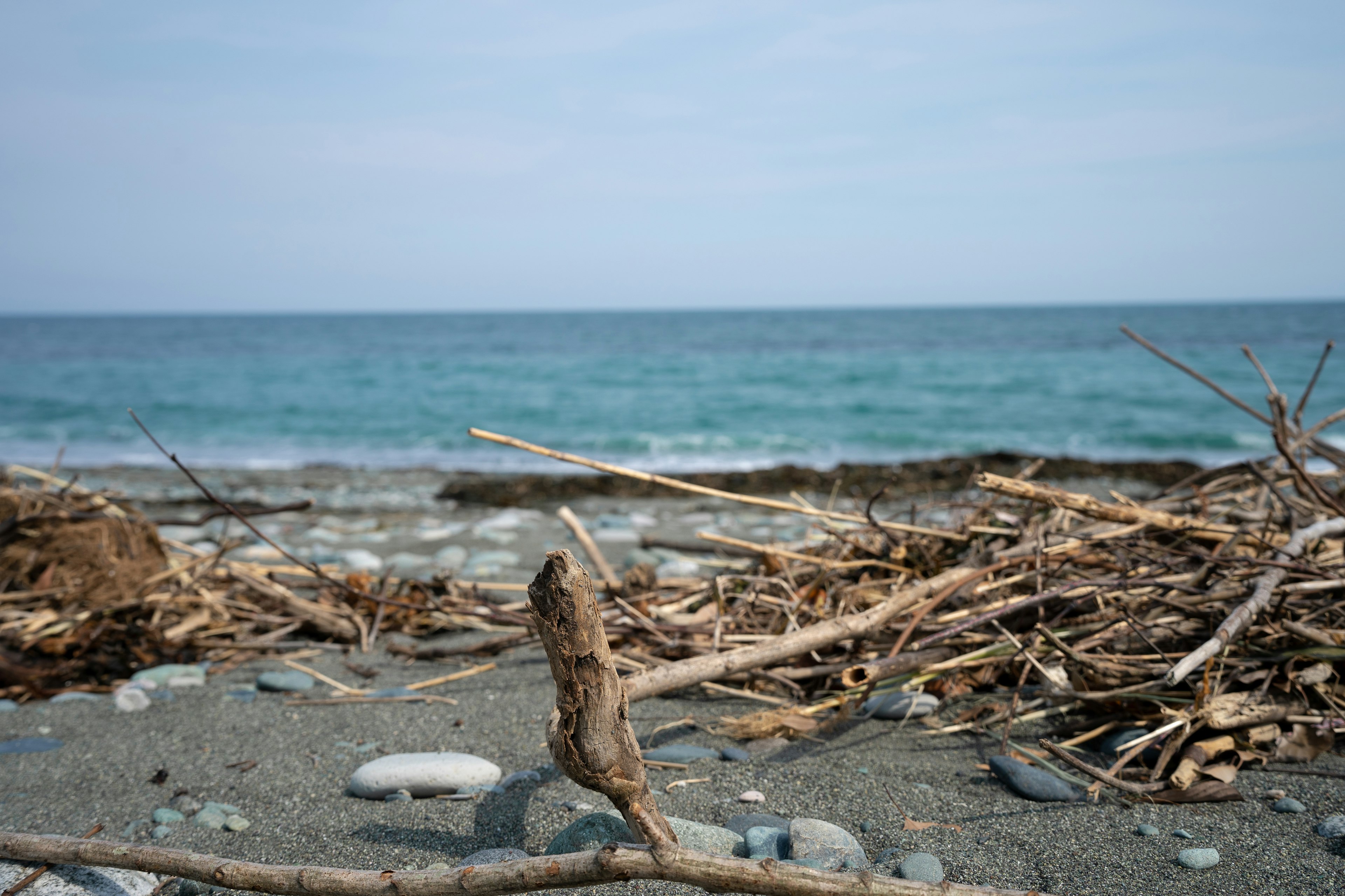 Pemandangan pantai dengan kayu apung dan kerikil