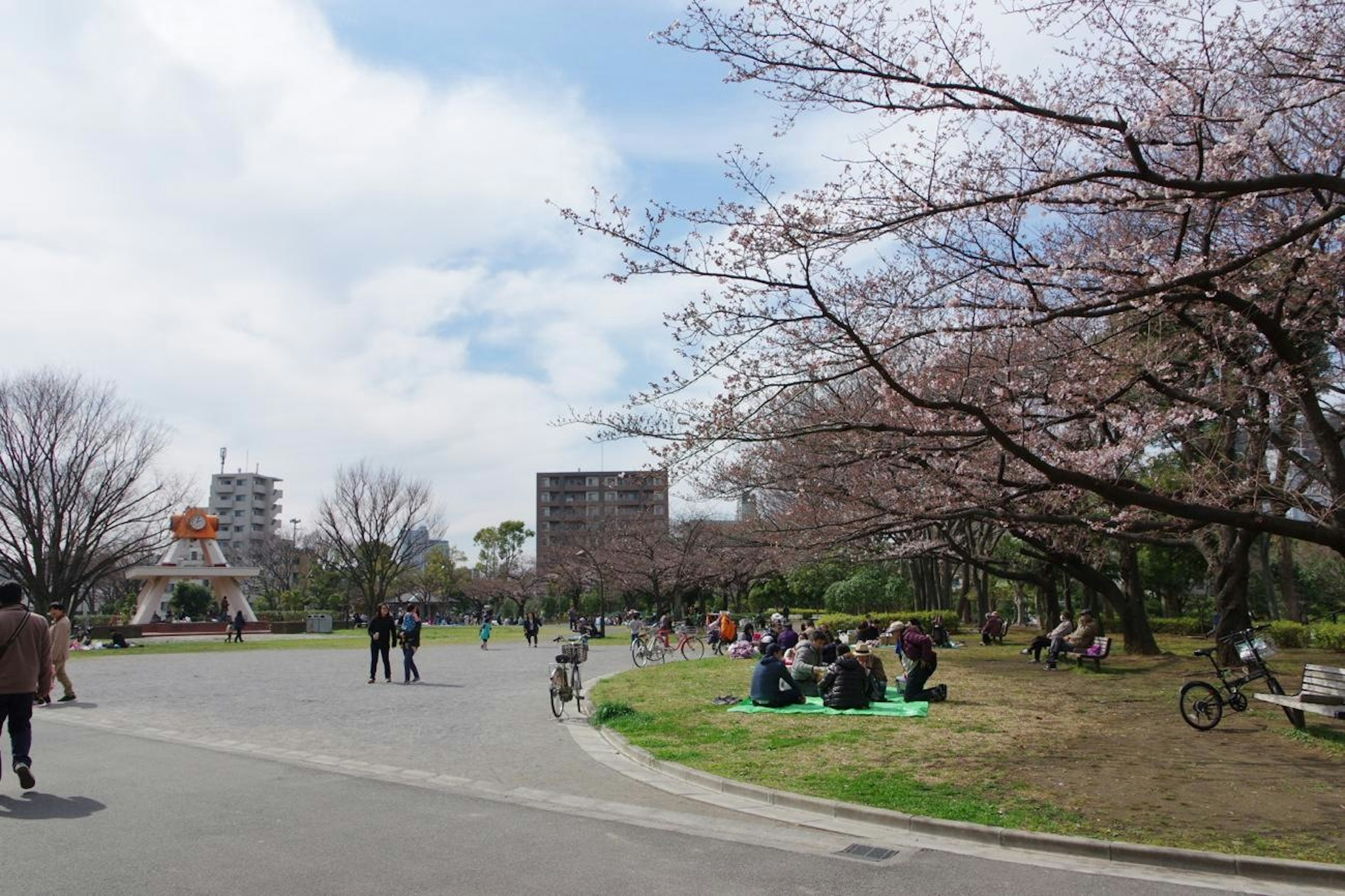 公園の桜の木の下で人々が過ごす様子