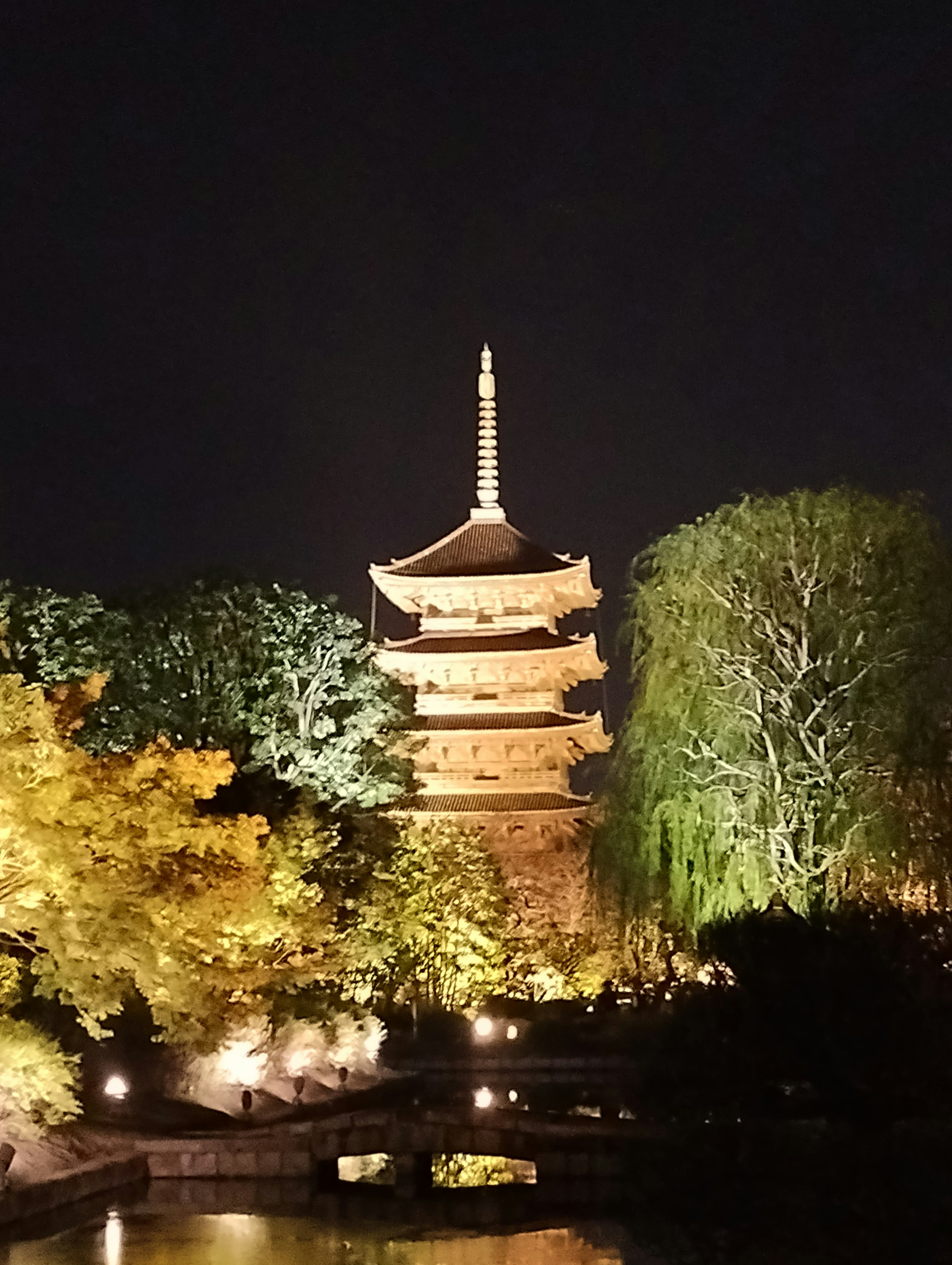 夜間照亮的美麗塔樓，周圍環繞著郁郁蔥蔥的樹木