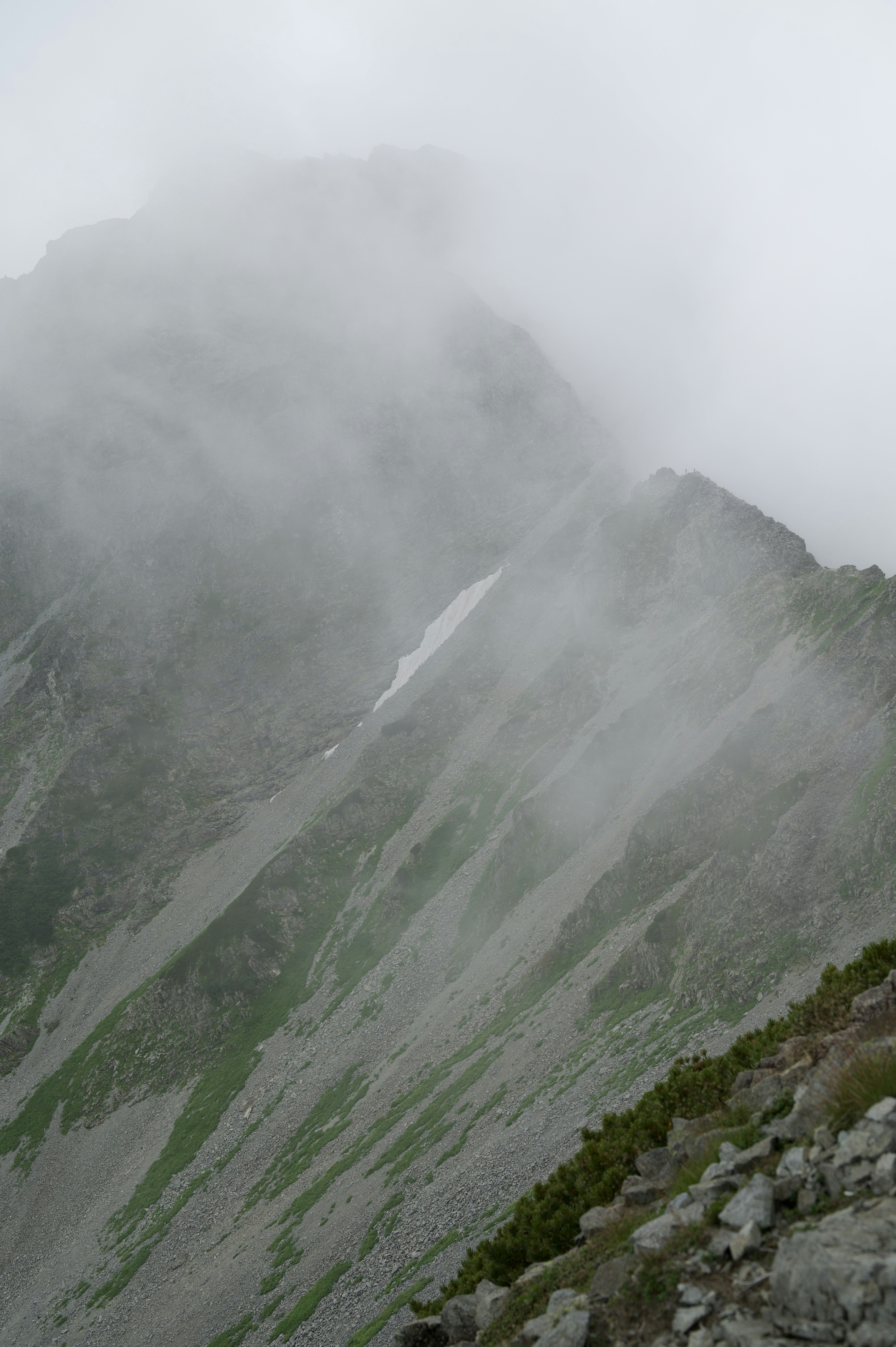 霧に包まれた山の斜面と緑の植物