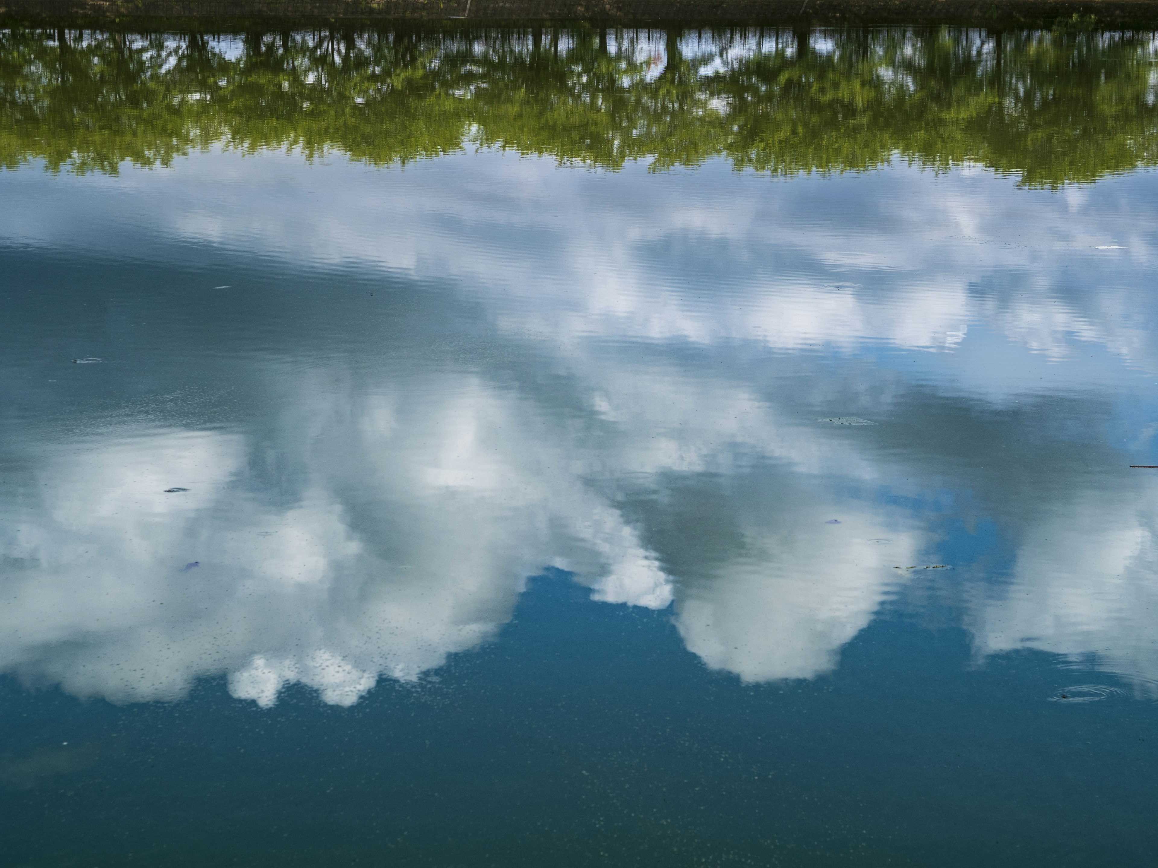 Riflesso di nuvole e alberi verdi sulla superficie dell'acqua