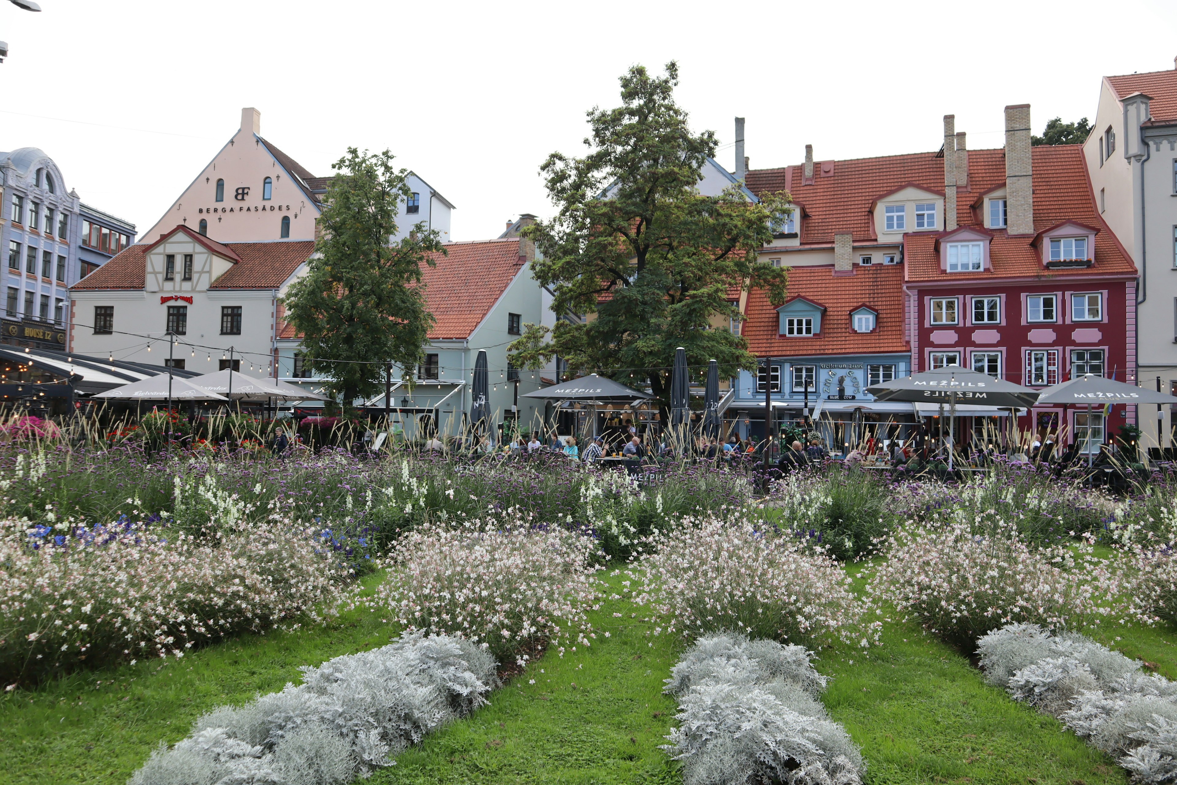 Jardin de fleurs colorées devant des bâtiments vibrants