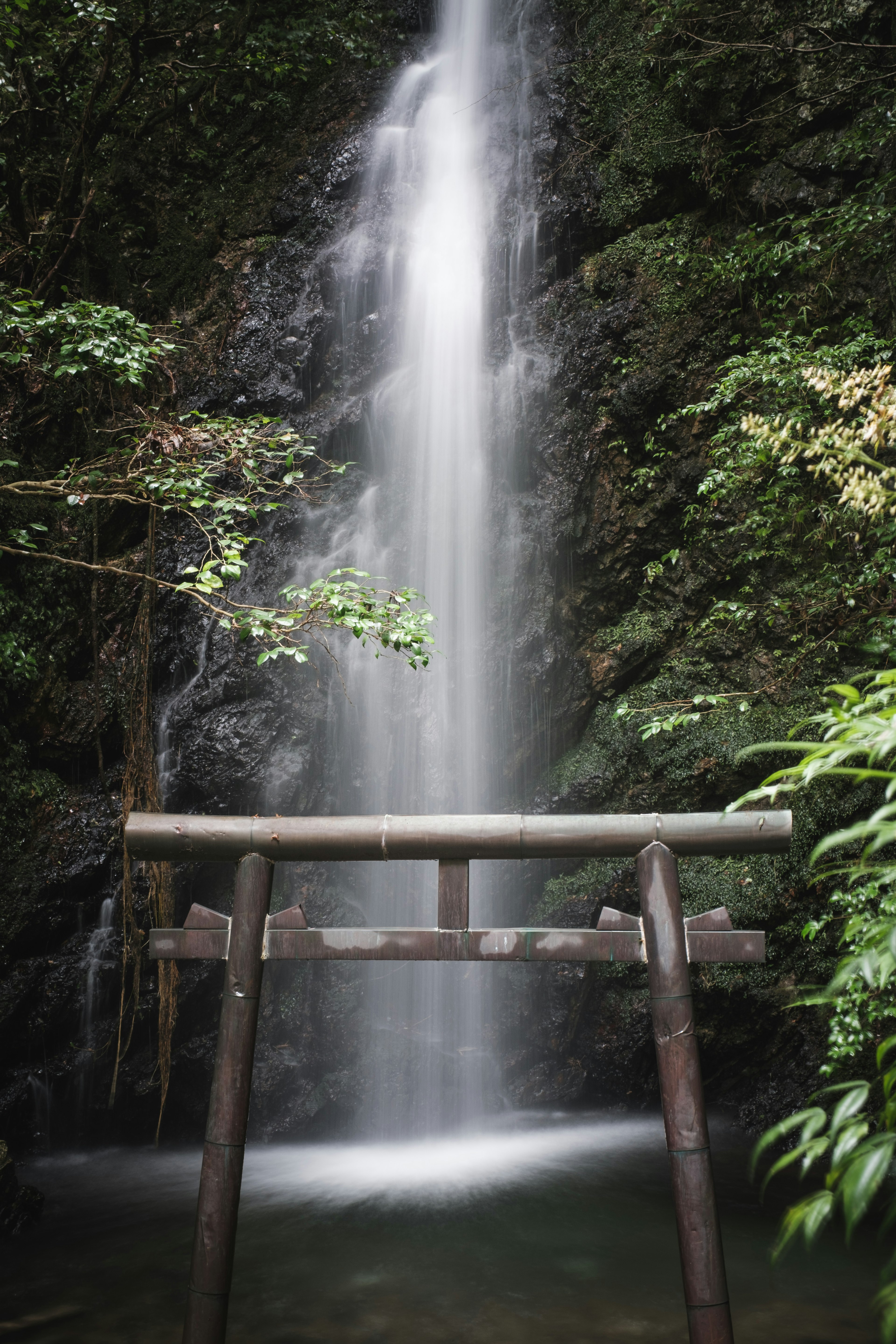 Thác nước yên tĩnh với cổng torii gỗ trong khung cảnh tự nhiên