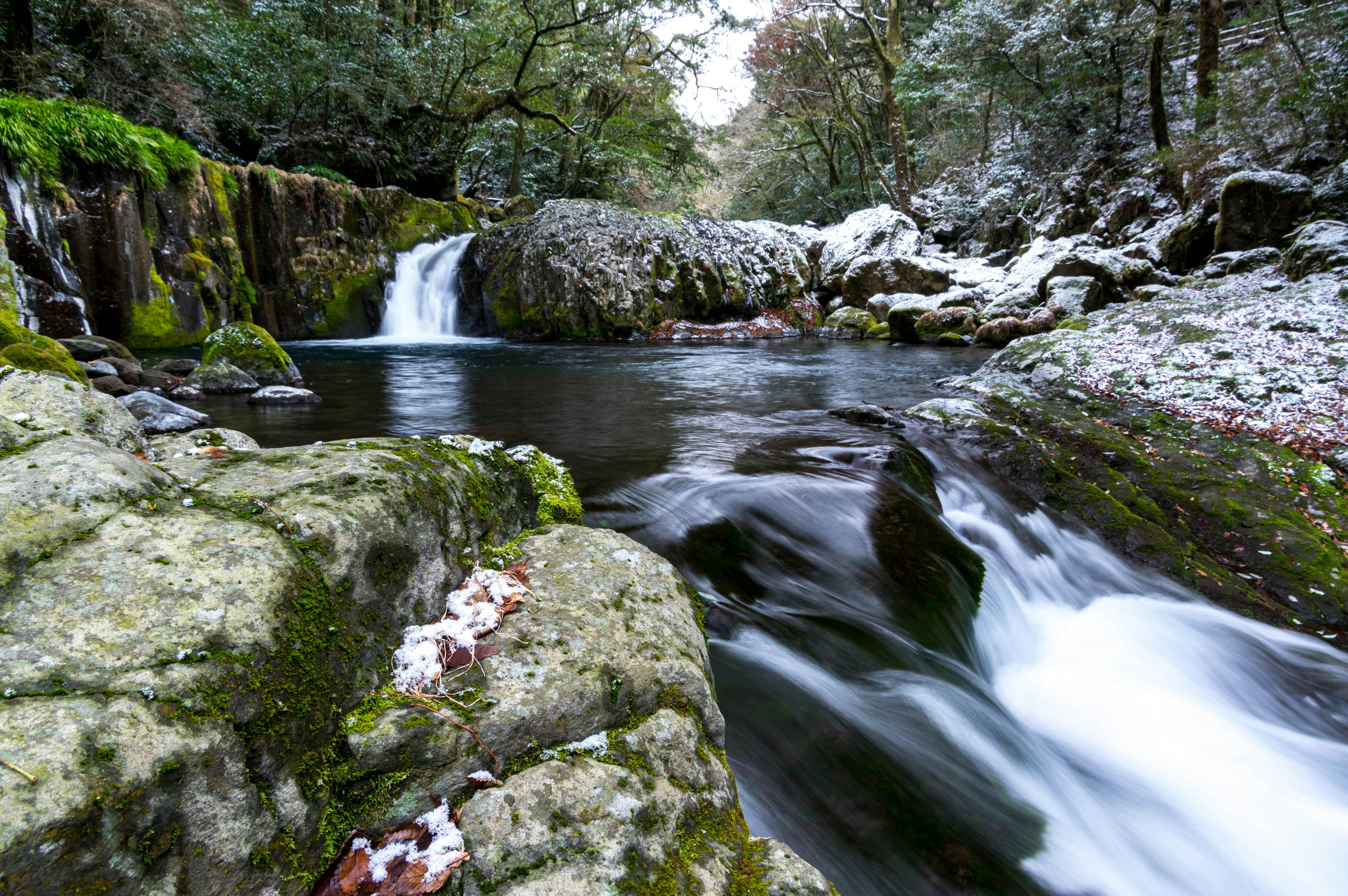 Un paisaje sereno con agua fluyendo sobre rocas cubiertas de musgo