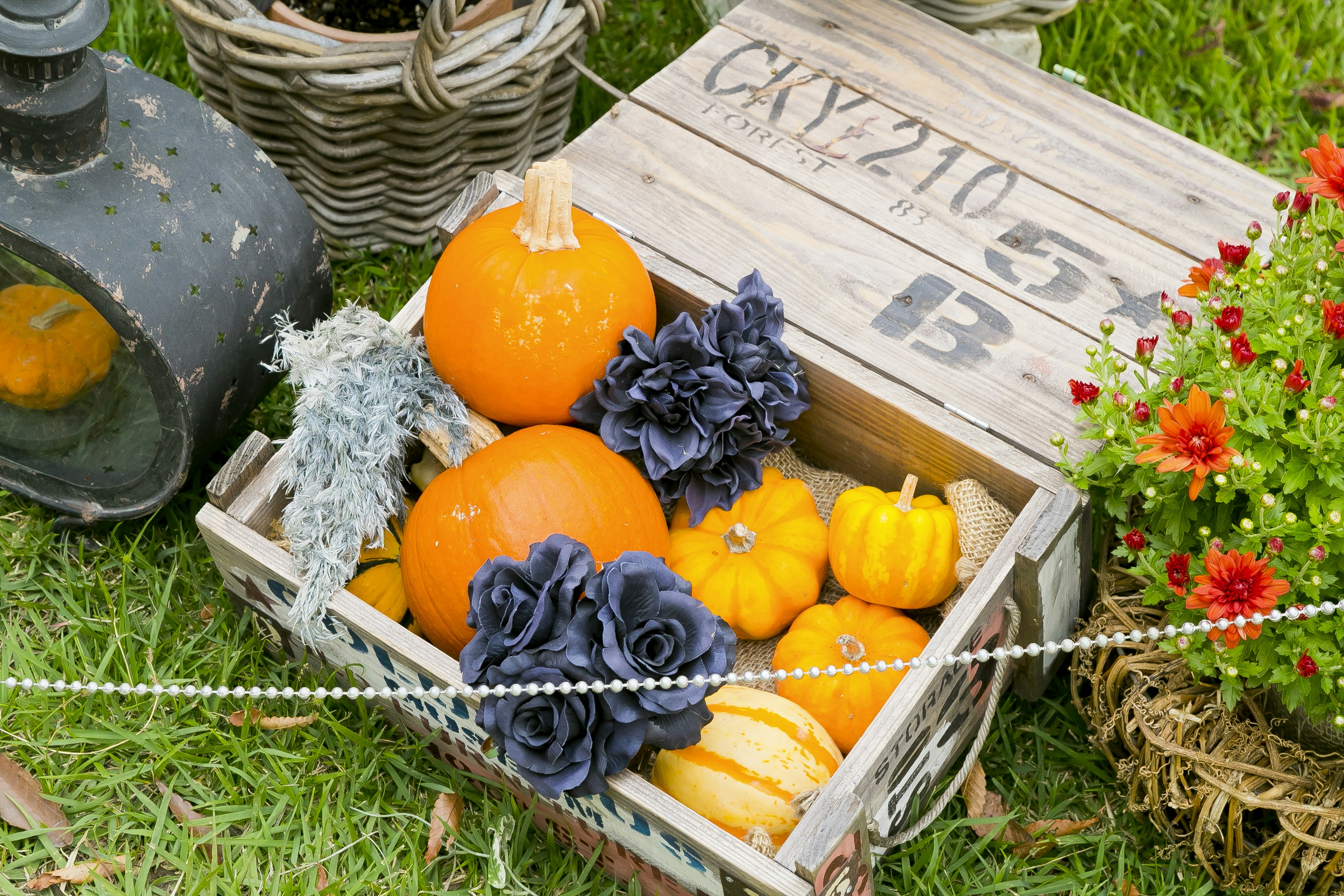 Ein Korb voller orangefarbener Kürbisse und kleiner gelber Kürbisse umgeben von Blumen