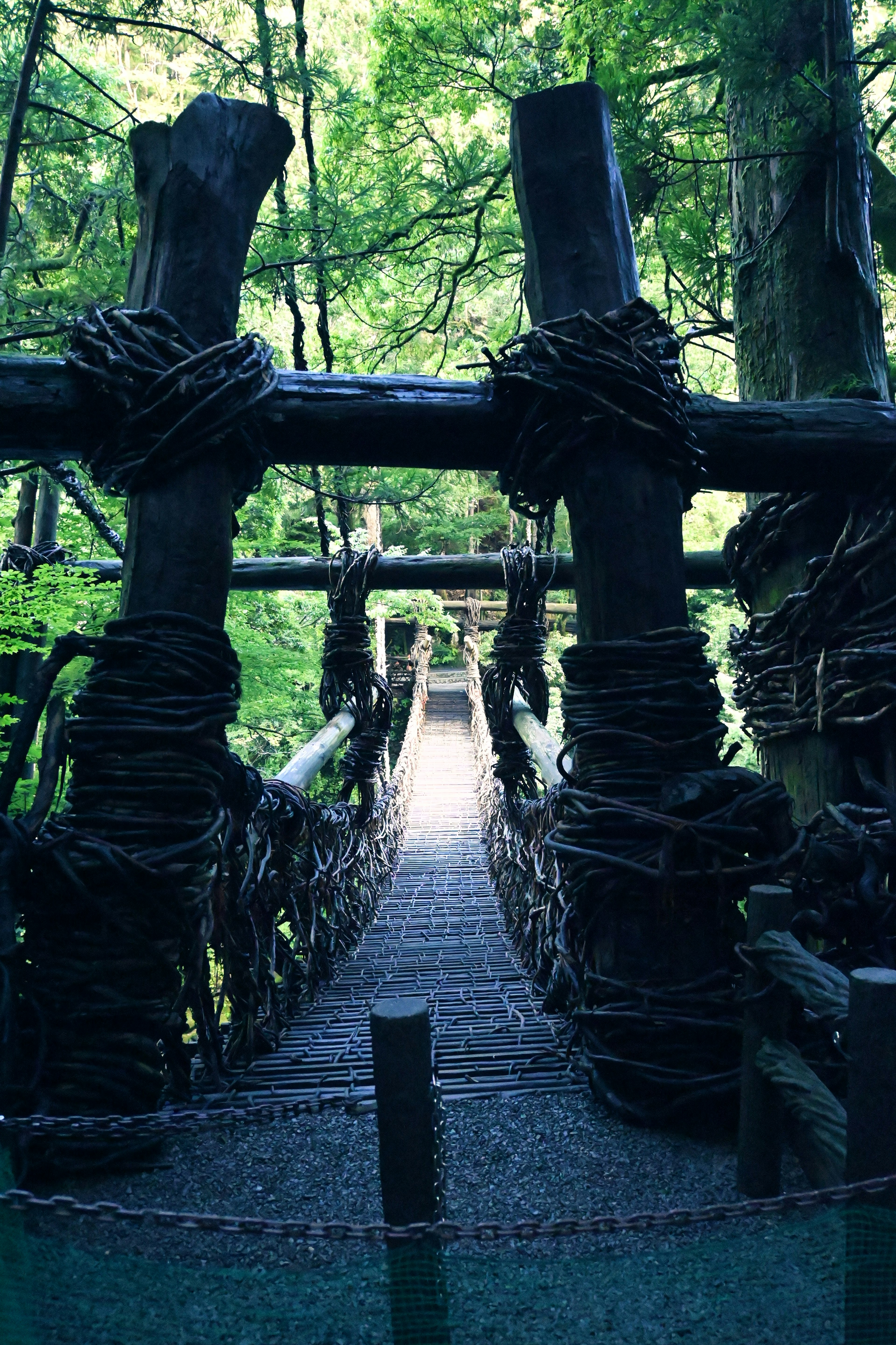 Holz-Hängebrücke im Wald mit komplizierten Seilen gesichert