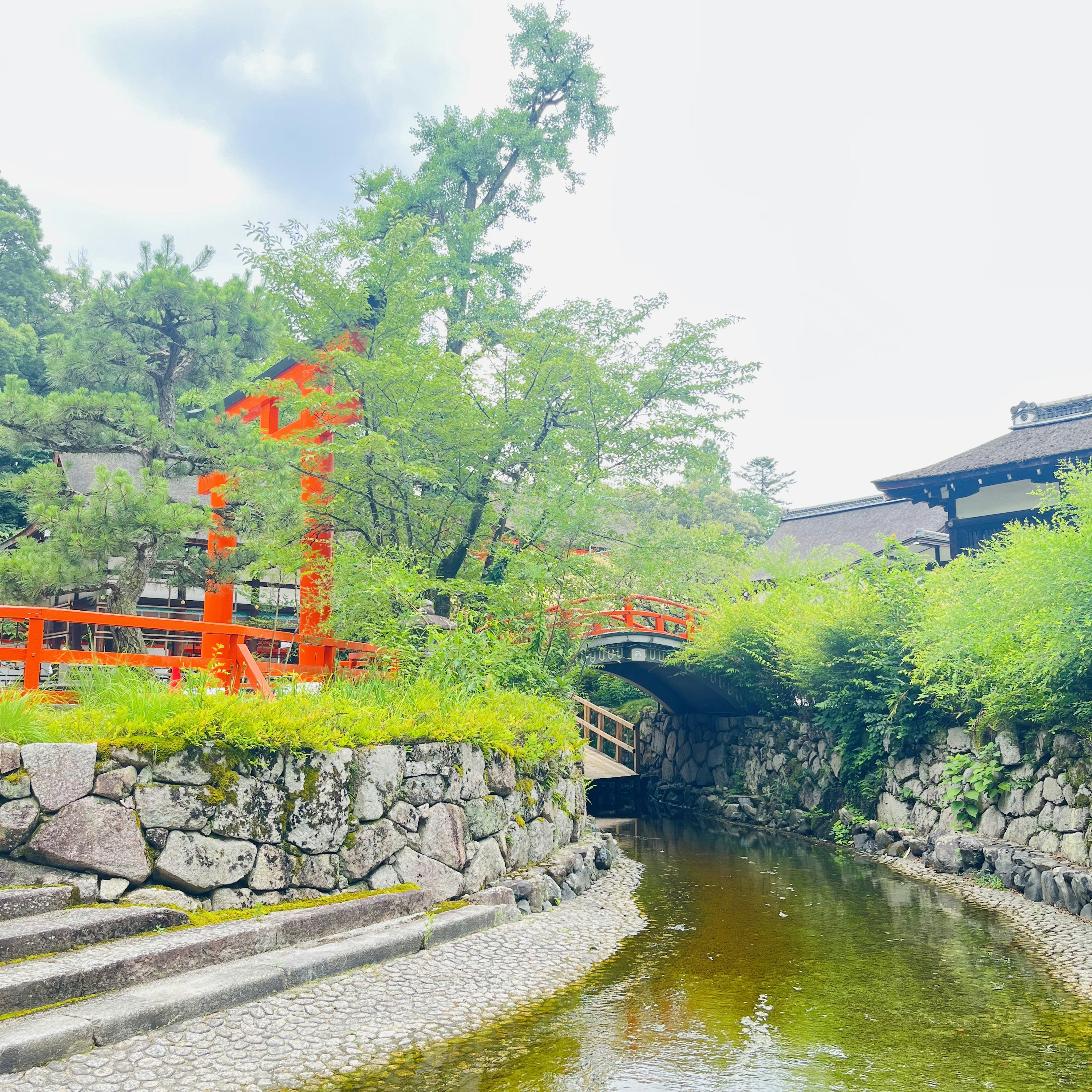 緑豊かな景色に囲まれた赤い橋と石の堤防がある静かな川の風景