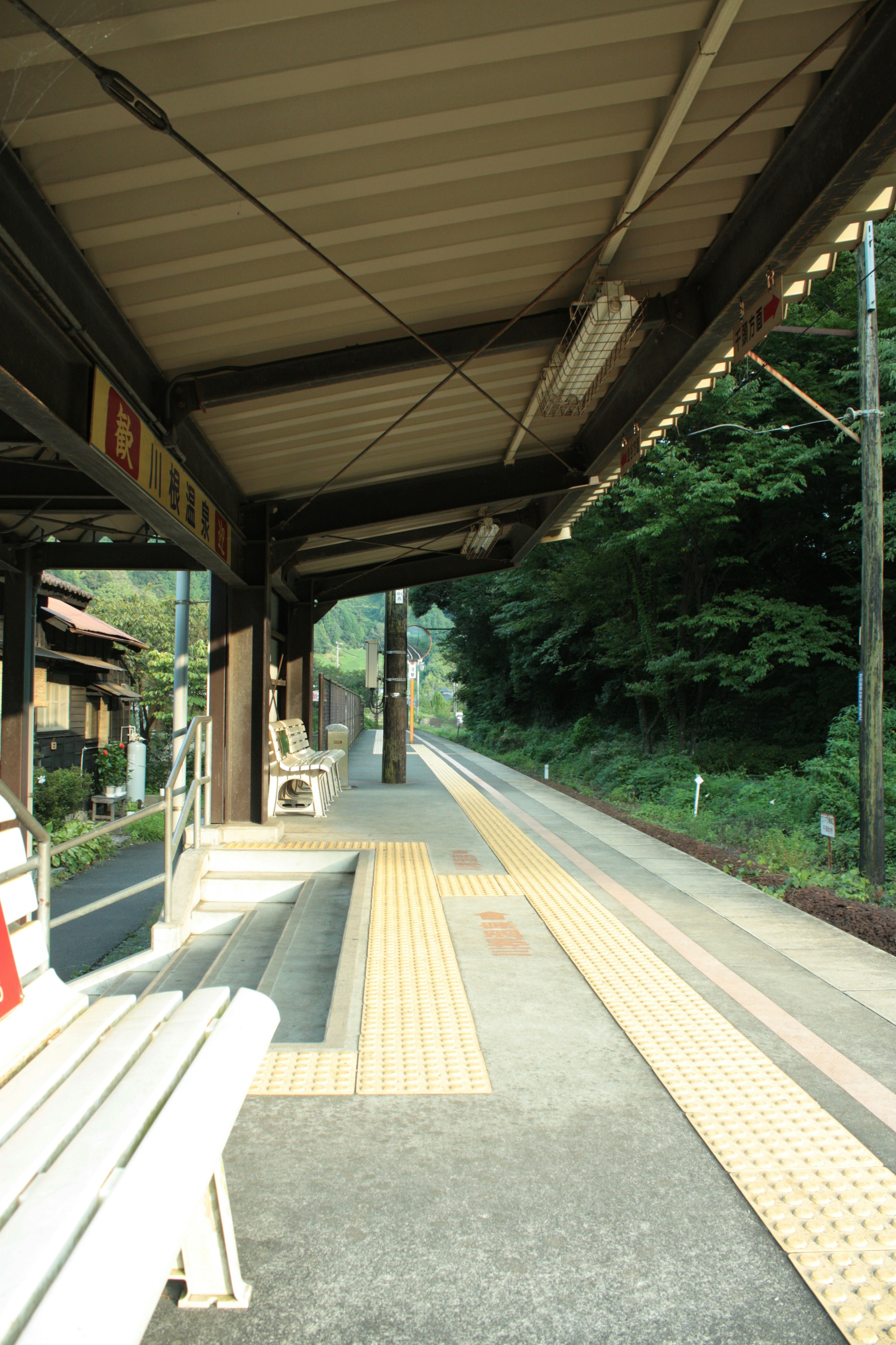 สถานีรถไฟที่เงียบสงบพร้อมม้านั่งและพื้นหลังสีเขียวสดใส