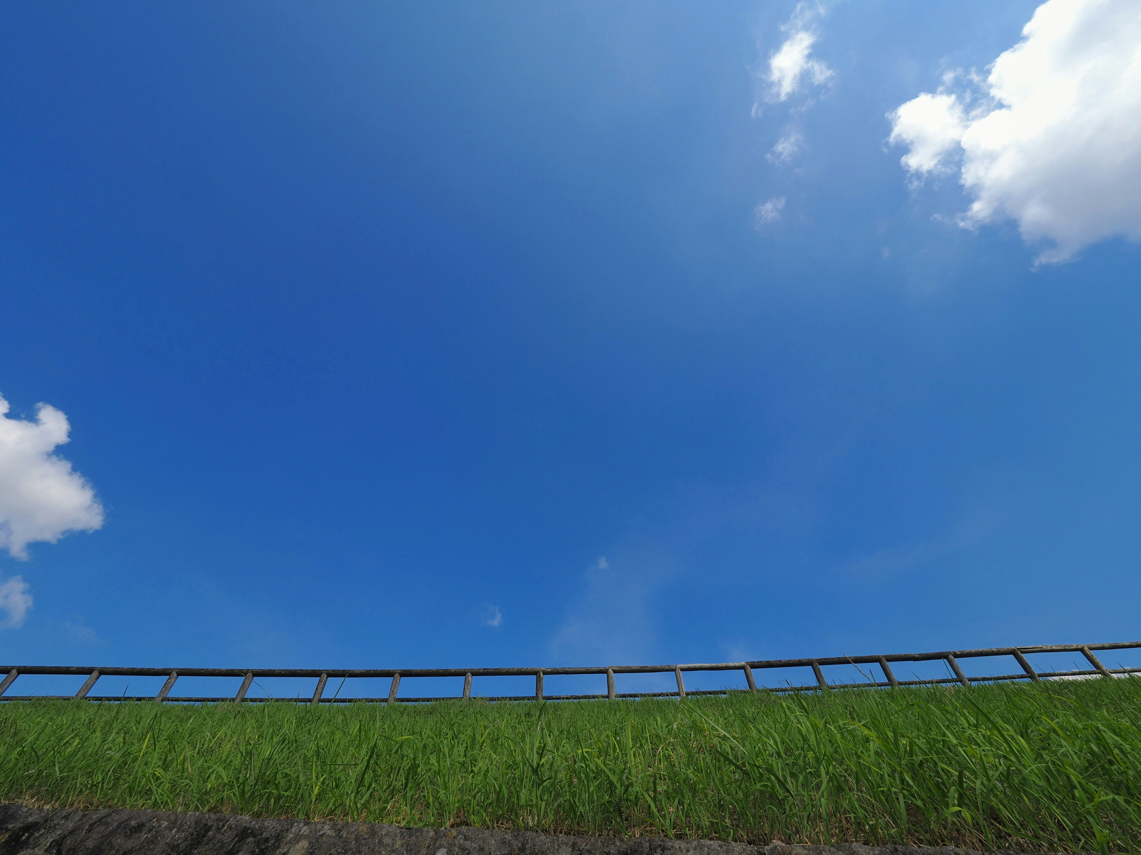 Cielo azul vibrante con hierba verde exuberante y barandilla de madera